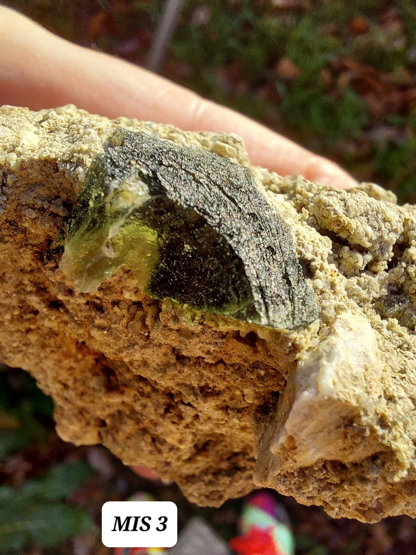 Moldavite In-Situ (in matrix), Besednice, Est- 3g, Tektite (Ref: MIS3)