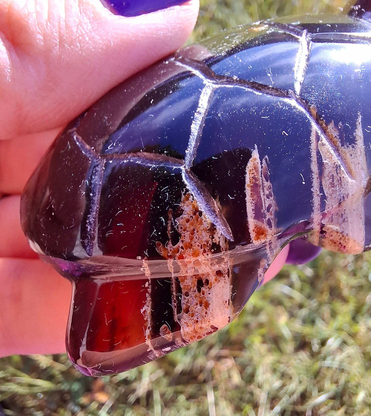 Red Amber Turtle, 47.85g, Carving, Fossil (Ref: TT4)