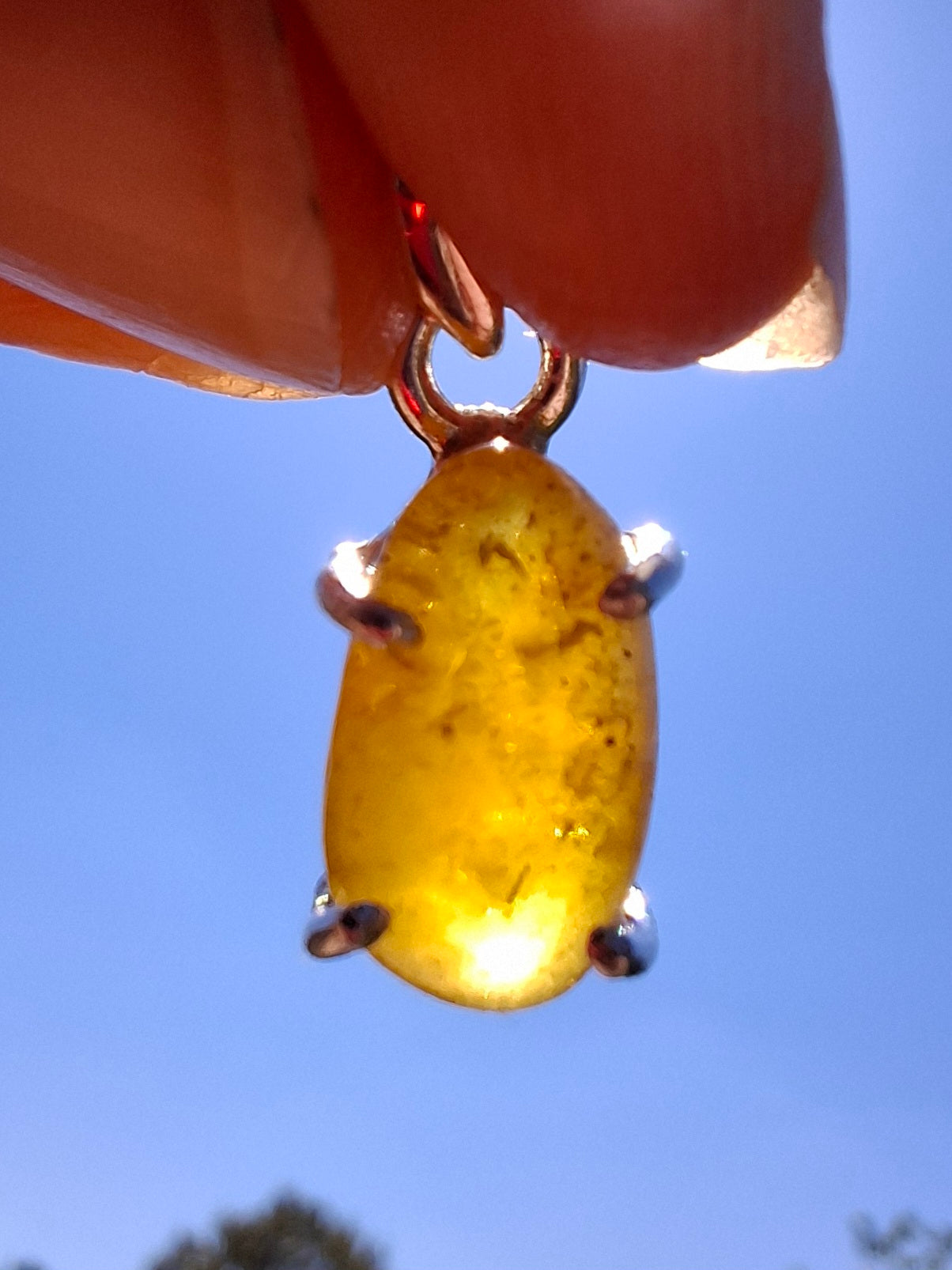 Baltic Amber Pendant, 925 Silver, Fossil (Ref: AP24)