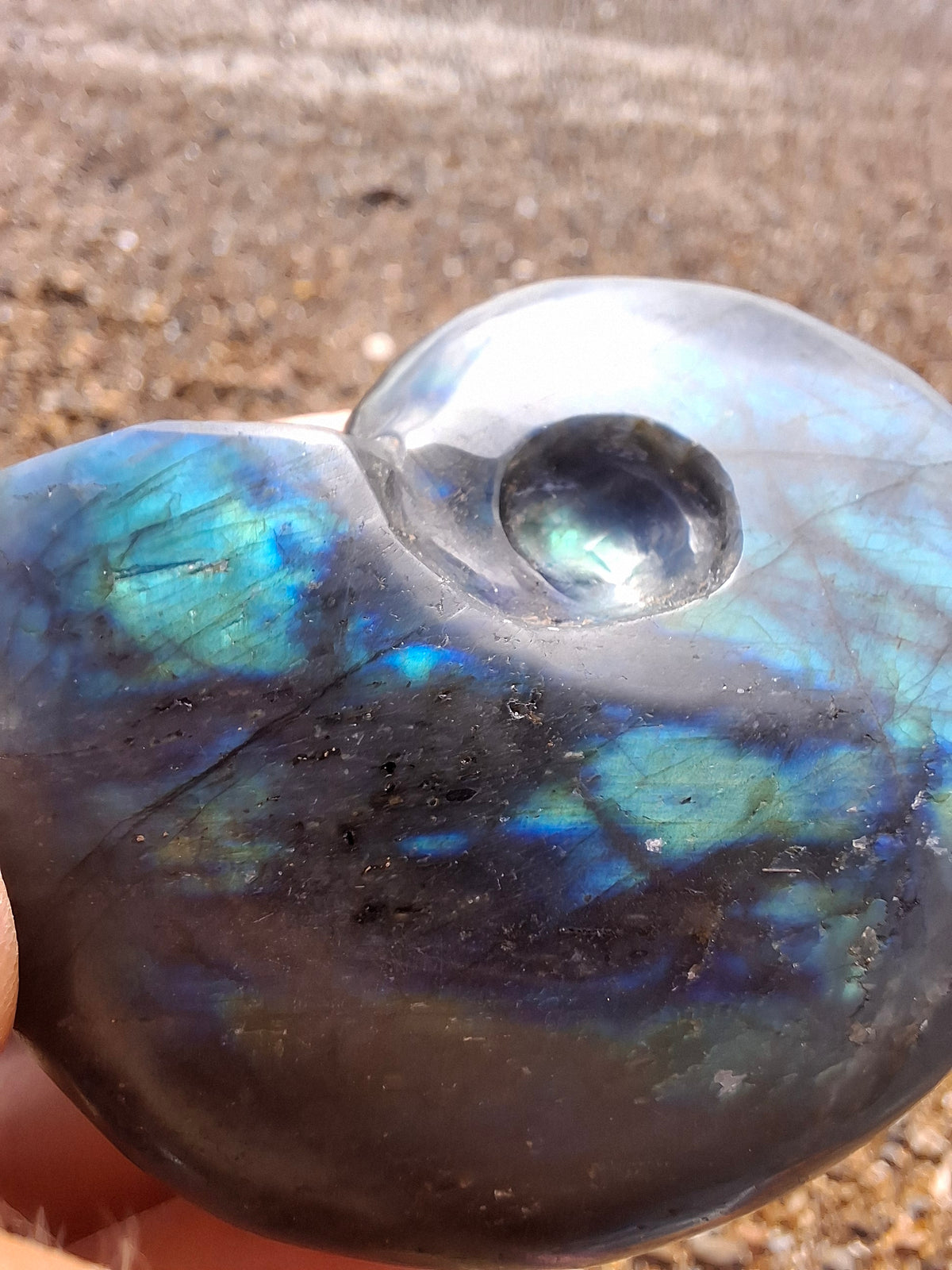 Labradorite Ammonite carving, 96.88g, Crystal (Ref: laba1)