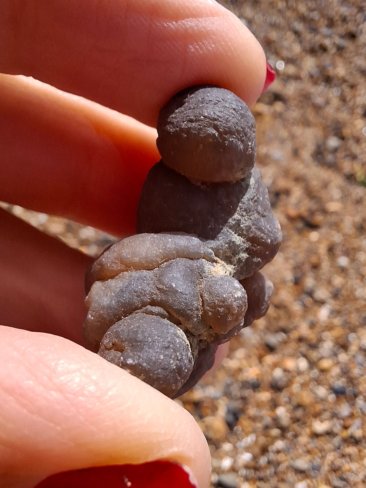 Nebula Chalcedony, 13.55g, Fossil (Ref: NC8)