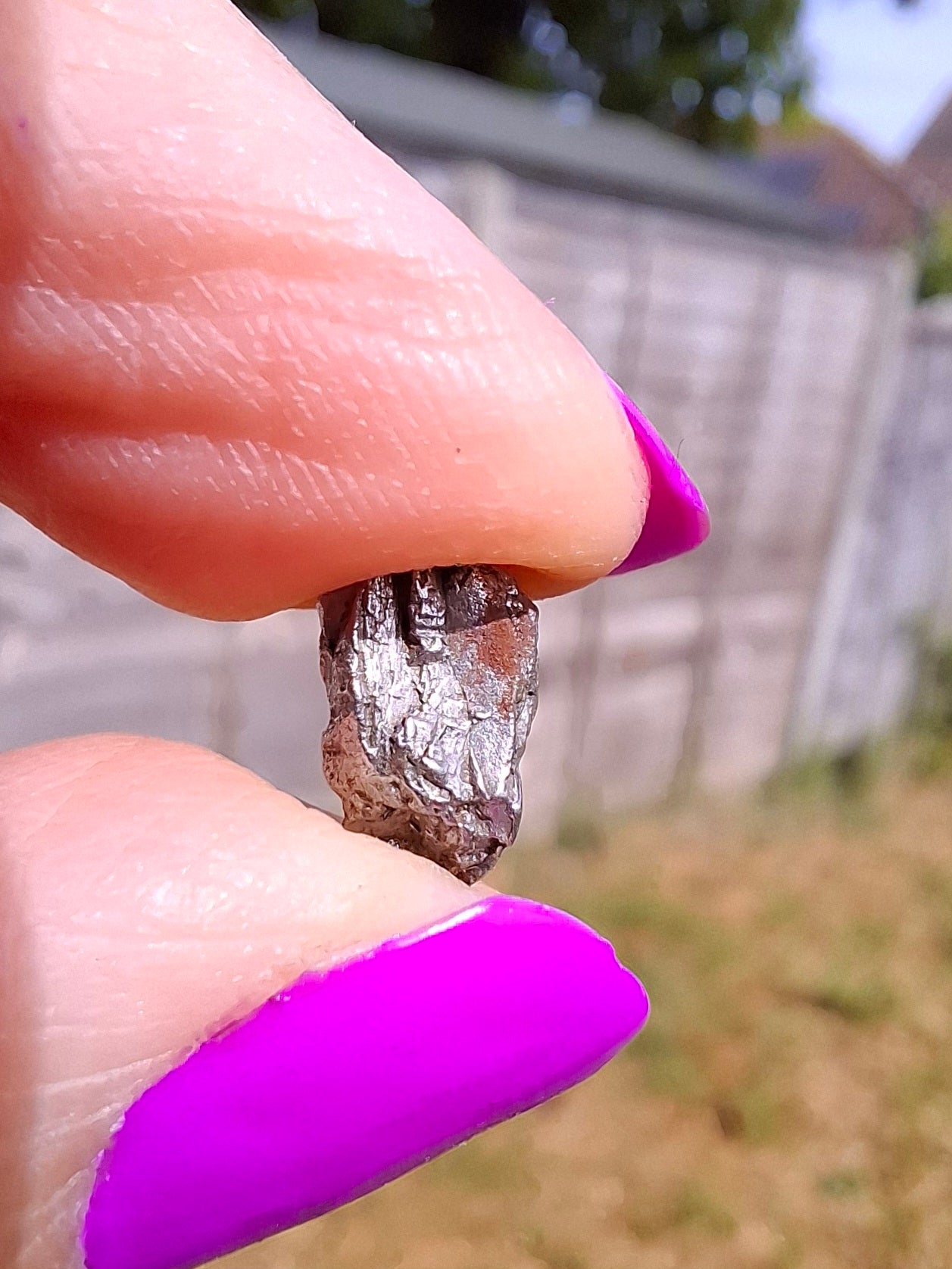 Campo del Cielo, 1.05g, Nickel Iron Meteorite (Ref: C11)