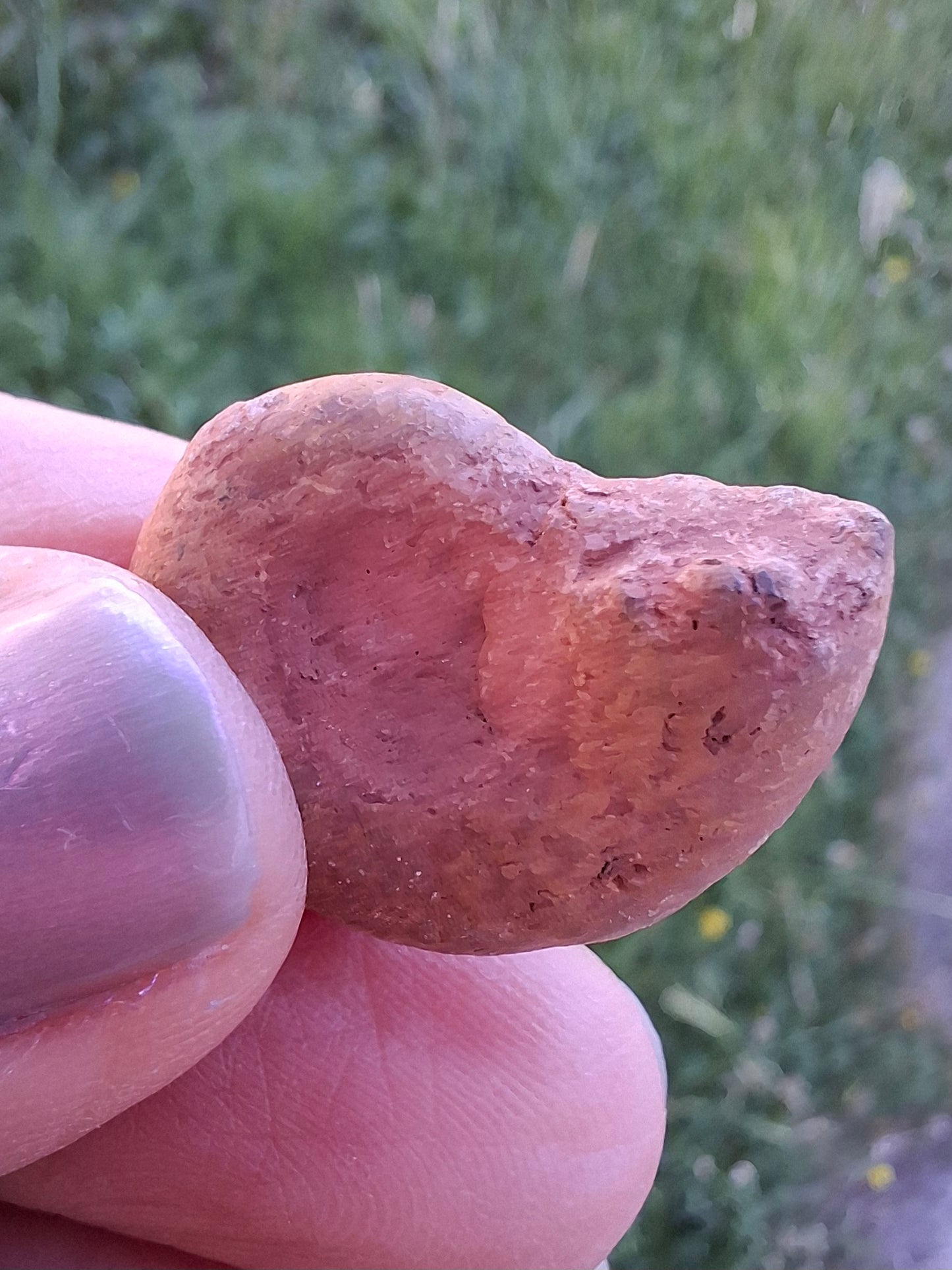 Small Haematite Ammonite HALF, (2.91g), Fossil (Ref: MA1)