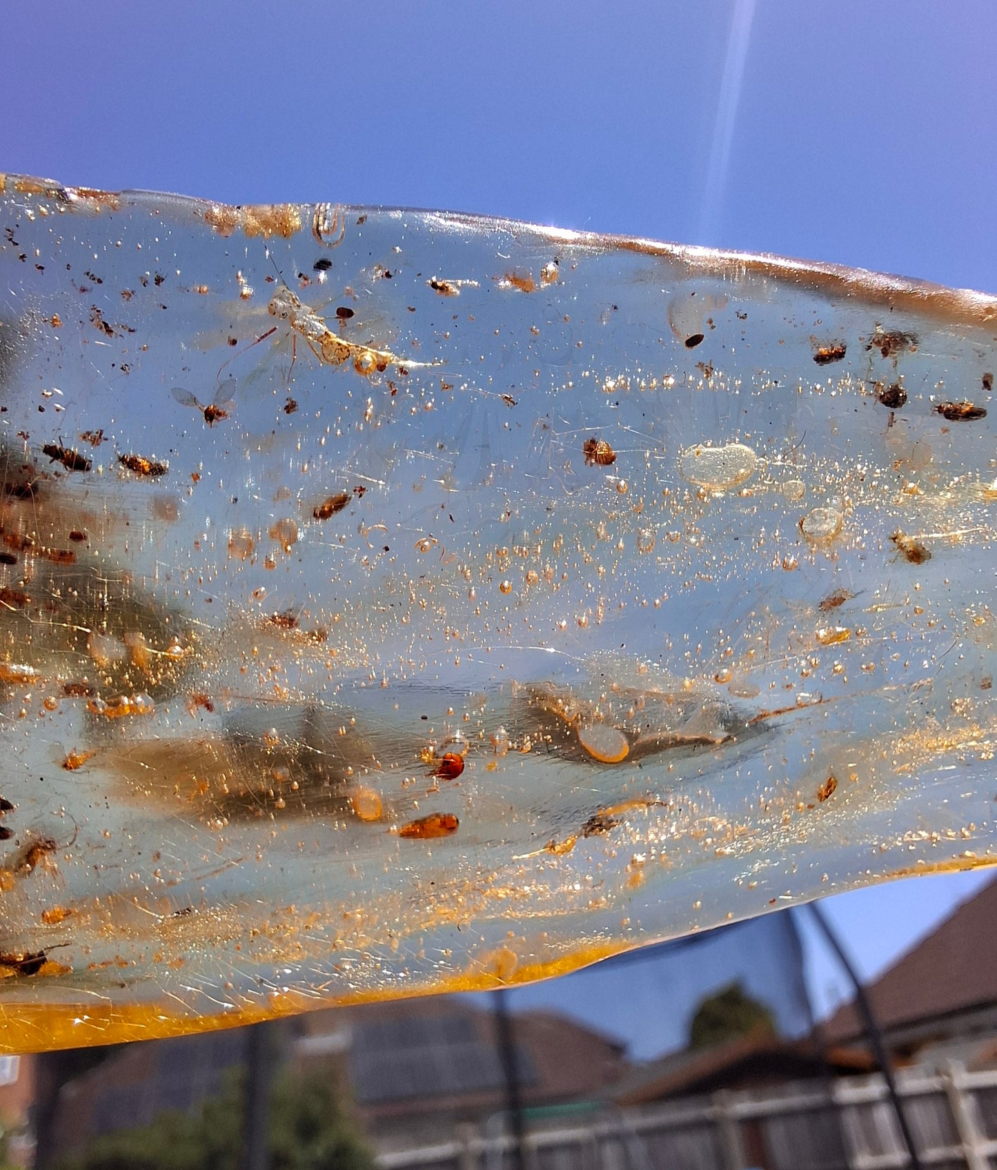 Copal Young Amber with INSECTS inside, 28.43g, Fossil (Ref: CA10)