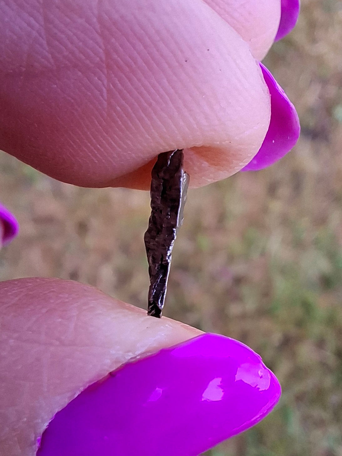 Campo del Cielo, 0.37g, Nickel Iron Meteorite (Ref: C13)