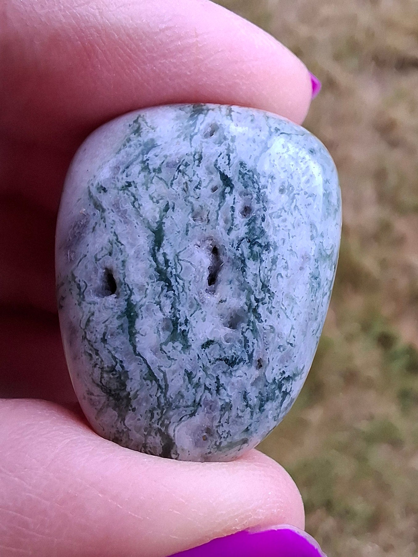 Tree Agate, Tumble Stone, Crystal (Ref: T7)
