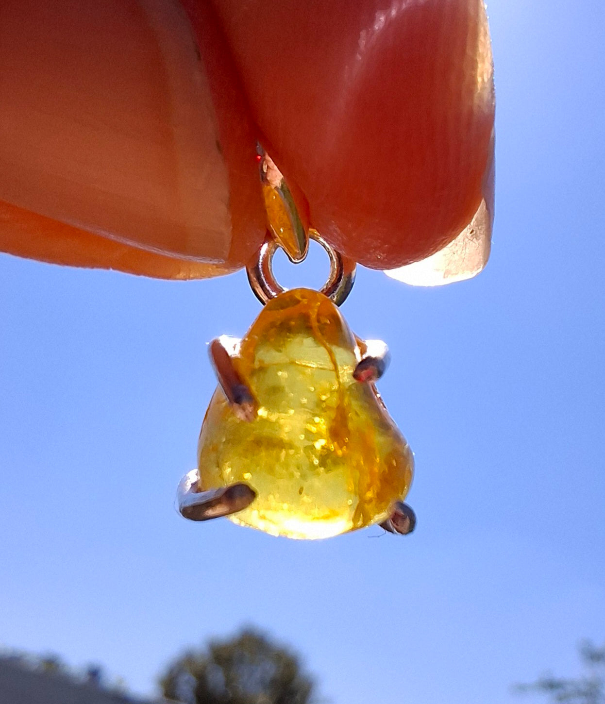 Baltic Amber Pendant, 925 Silver, Fossil (Ref: AP25)