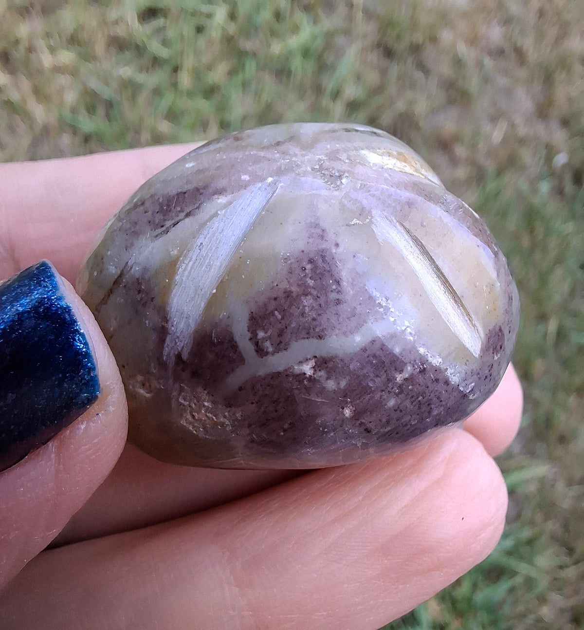Polished Sea Urchin, Fossil (Ref: SU6)