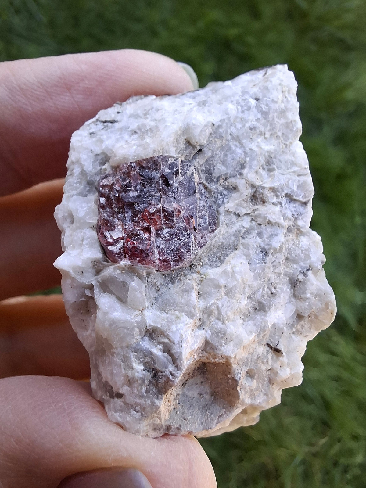 (Dig your own) Garnet in Matrix, Crystal (Ref: RG3)