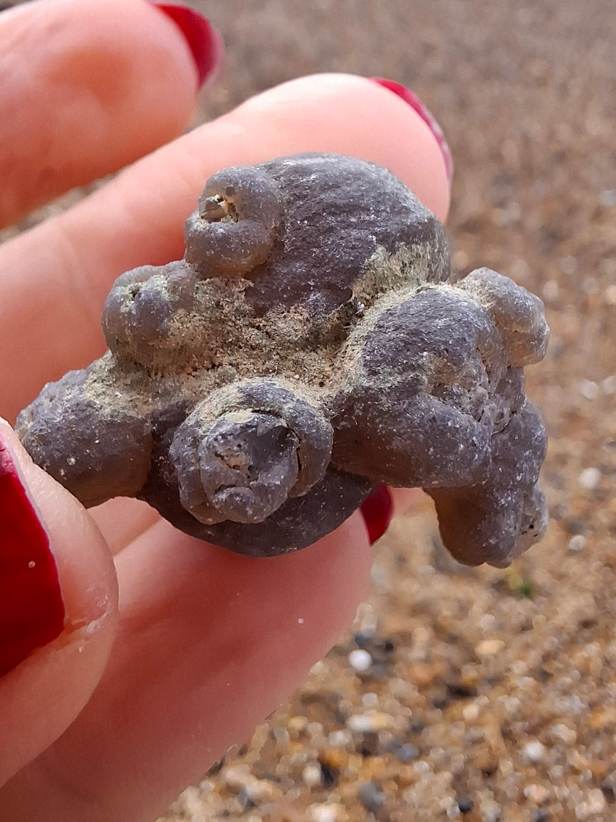 Nebula Chalcedony, 13.45g, Fossil (Ref: NC2)