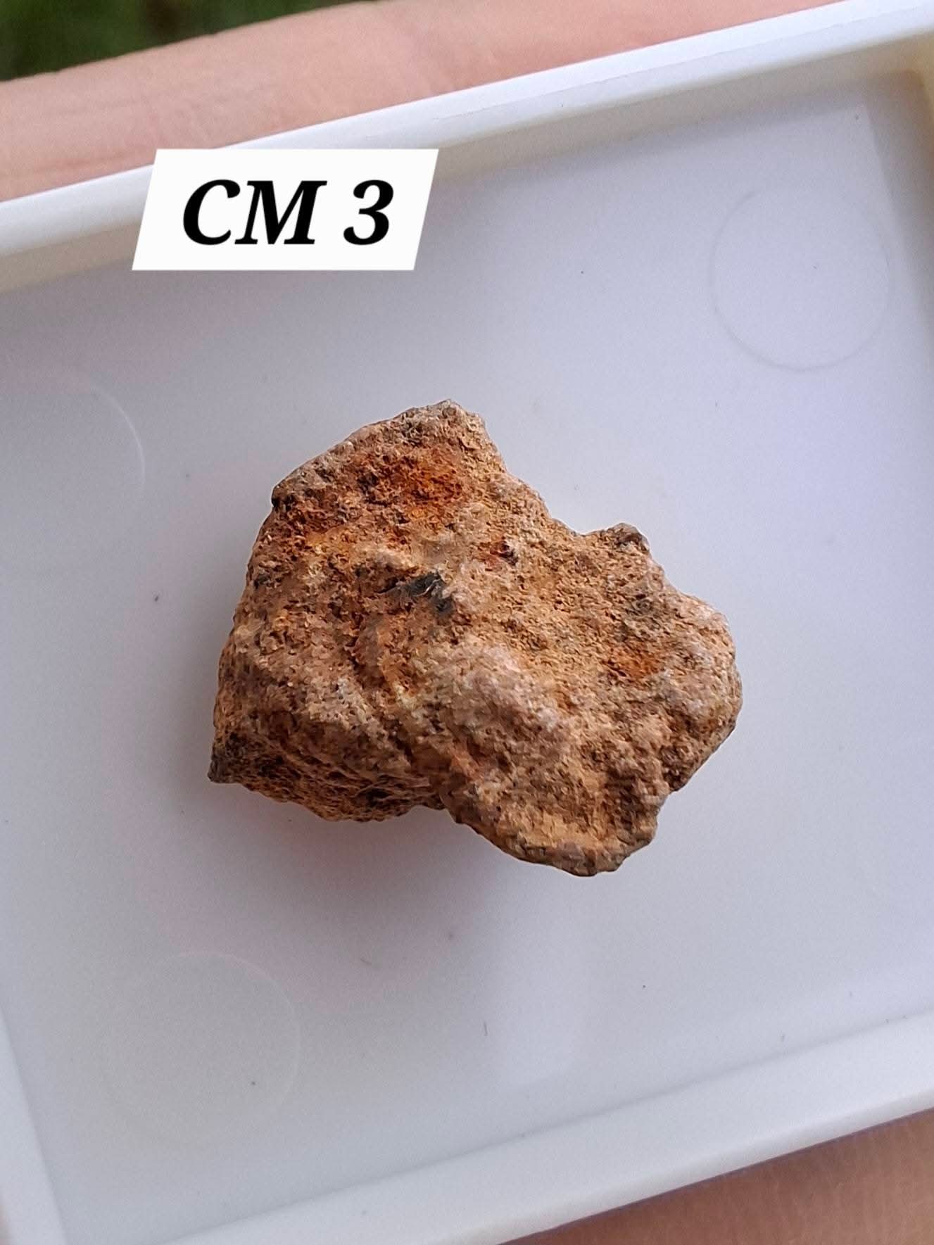 Chondrite, Meteorite (Ref: CM3)