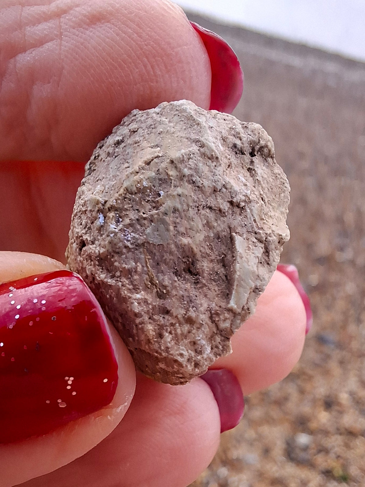 Sauropod Dinosaur Coprolite, 7.32g, Fossil (Ref: DP4)