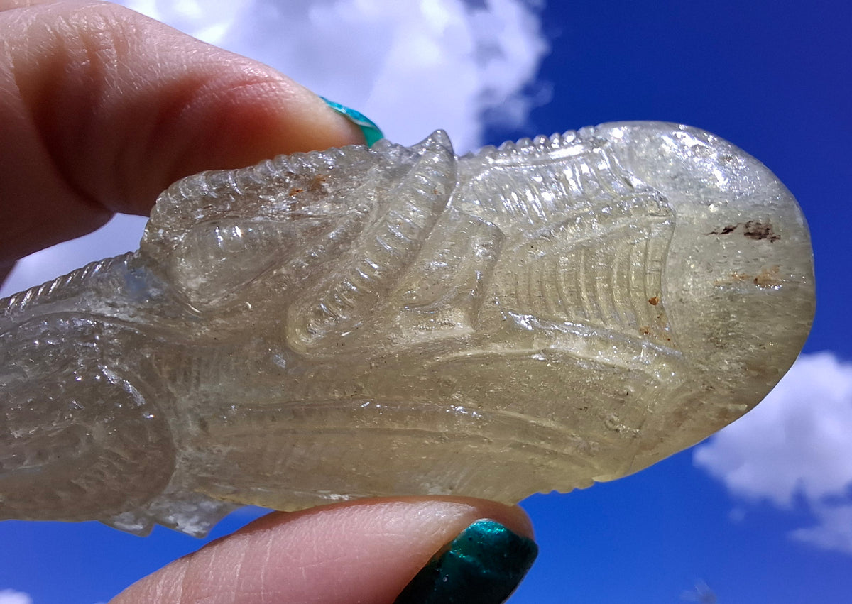 Libyan Desert Glass DRAGON HEAD carving, 48.11g, Tektite (Ref: Dragon4)