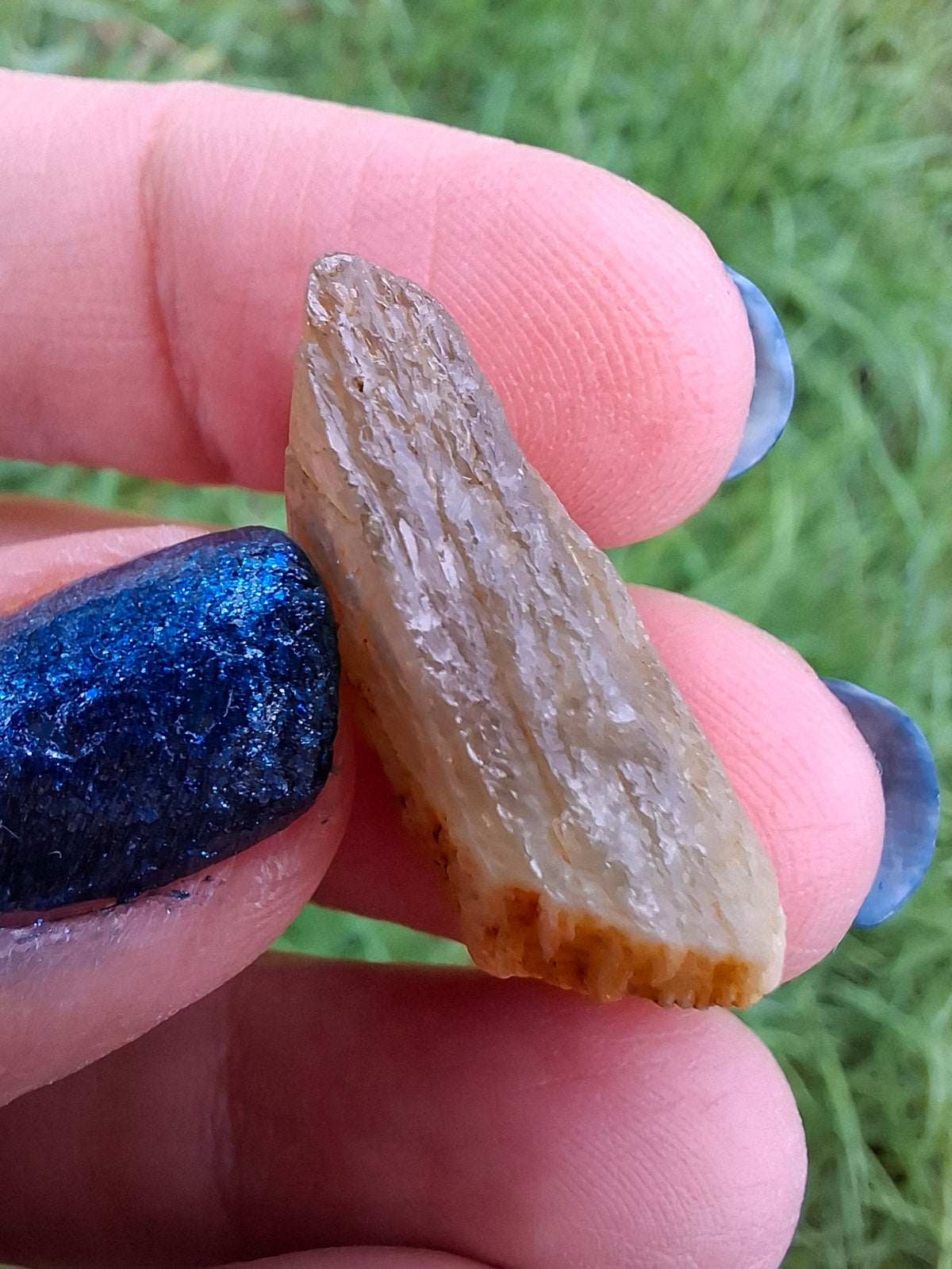 Diaspore (Zultanite), 6.86g, Crystal (Ref: DIS4)