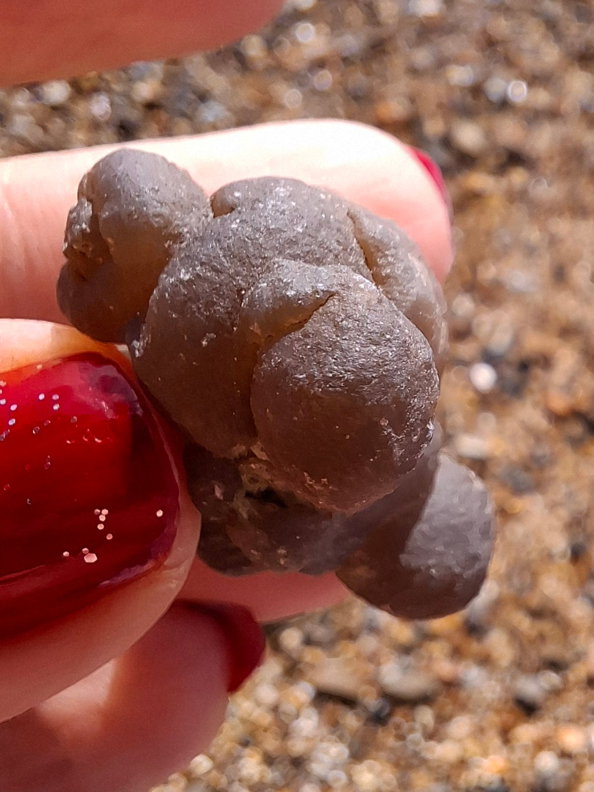 Nebula Chalcedony, 13.55g, Fossil (Ref: NC8)