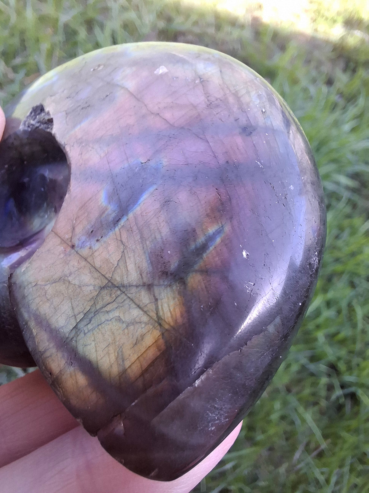 Labradorite Ammonite Carving, 146.90g, Crystal (Ref: laba5)