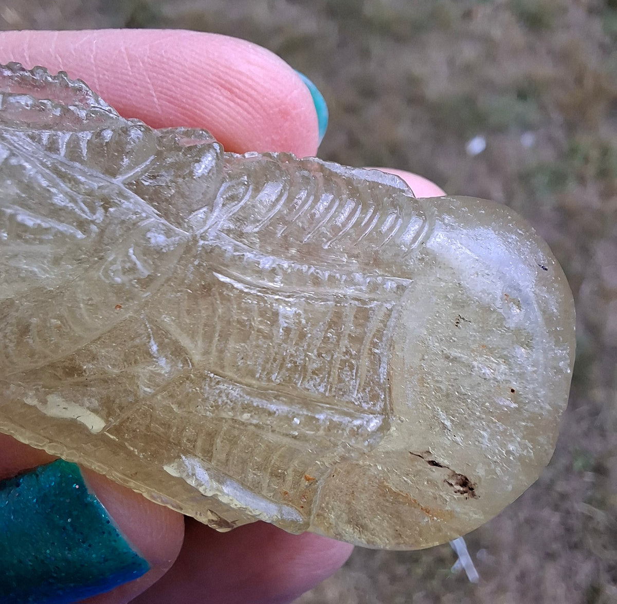 Libyan Desert Glass DRAGON HEAD carving, 48.11g, Tektite (Ref: Dragon4)
