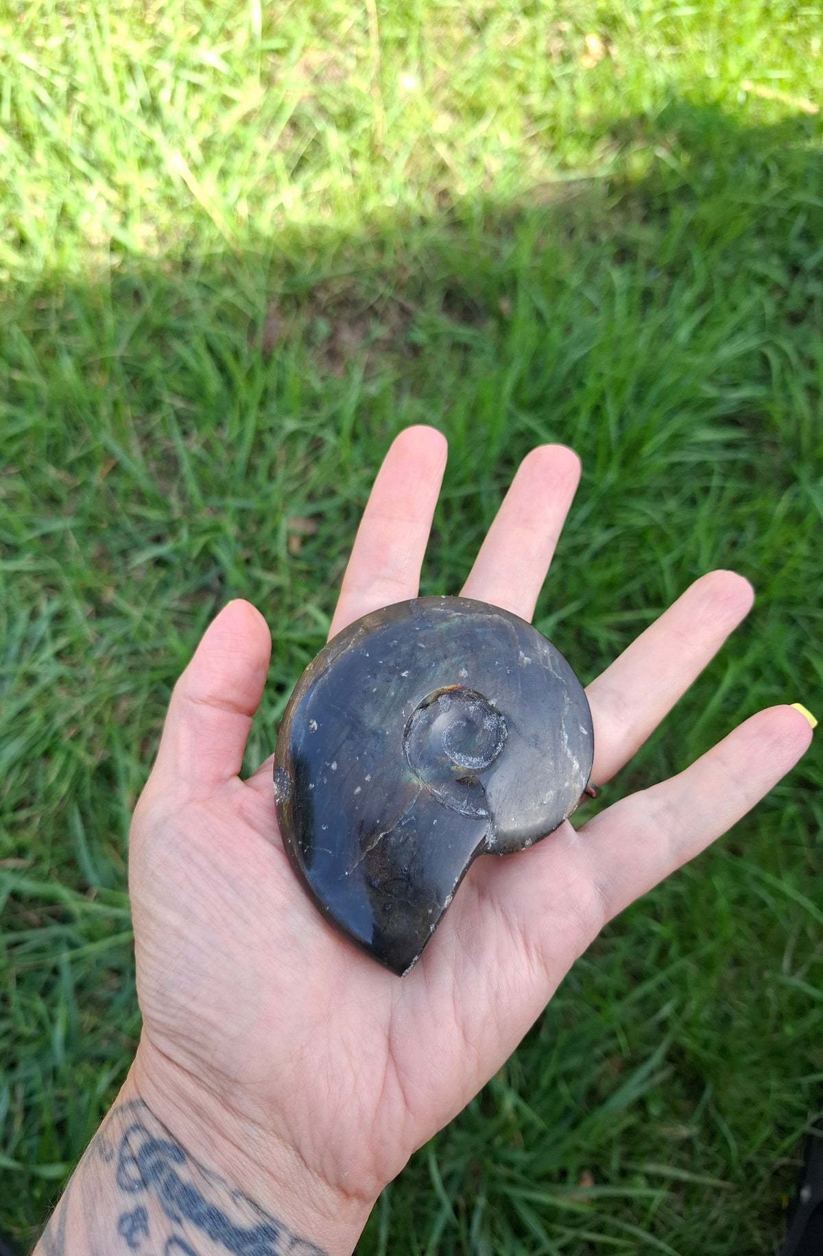 Labradorite Ammonite Carving, 160.21g, Crystal (Ref: laba4)