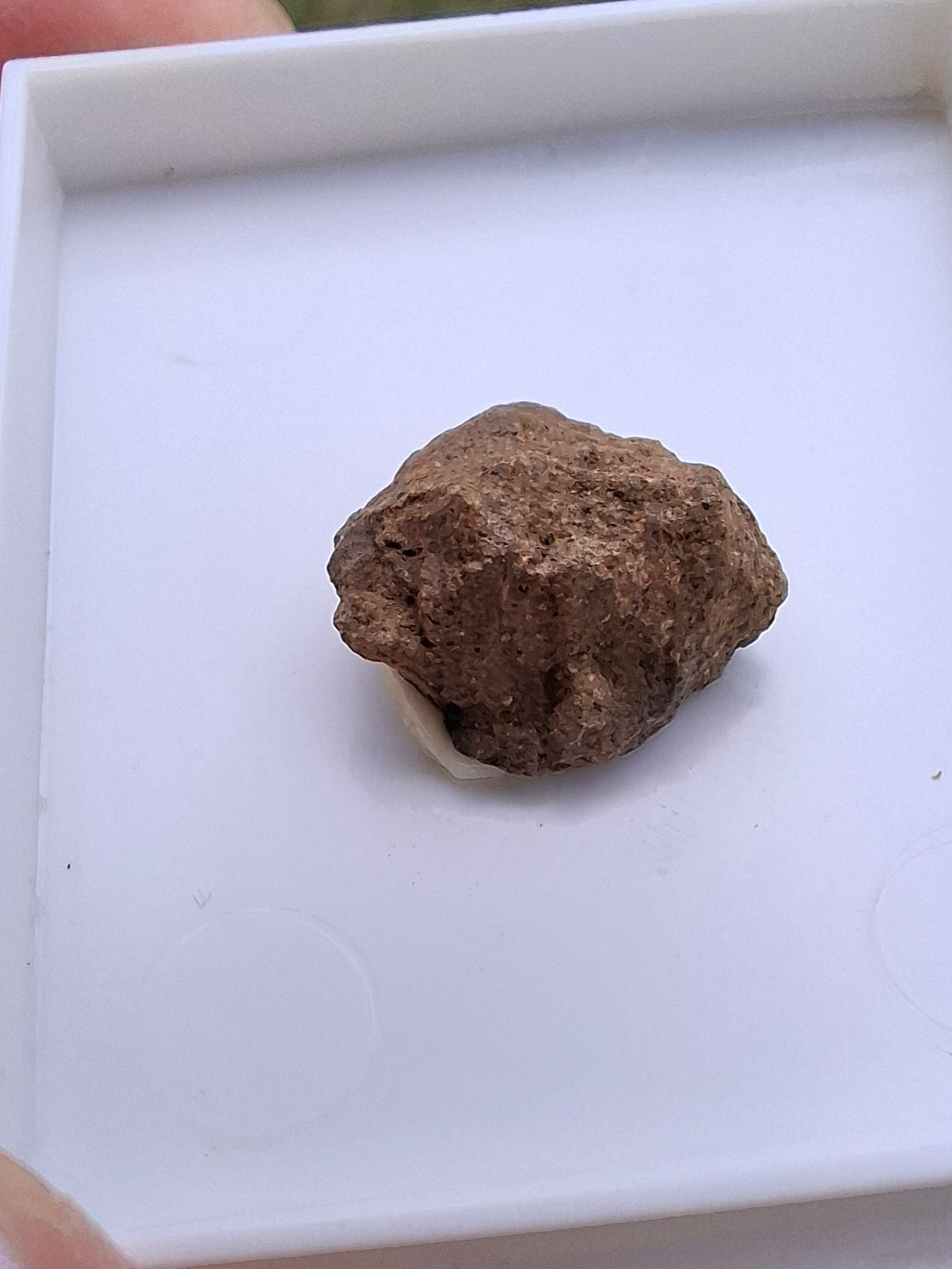 Chondrite, Meteorite (Ref: CM9)