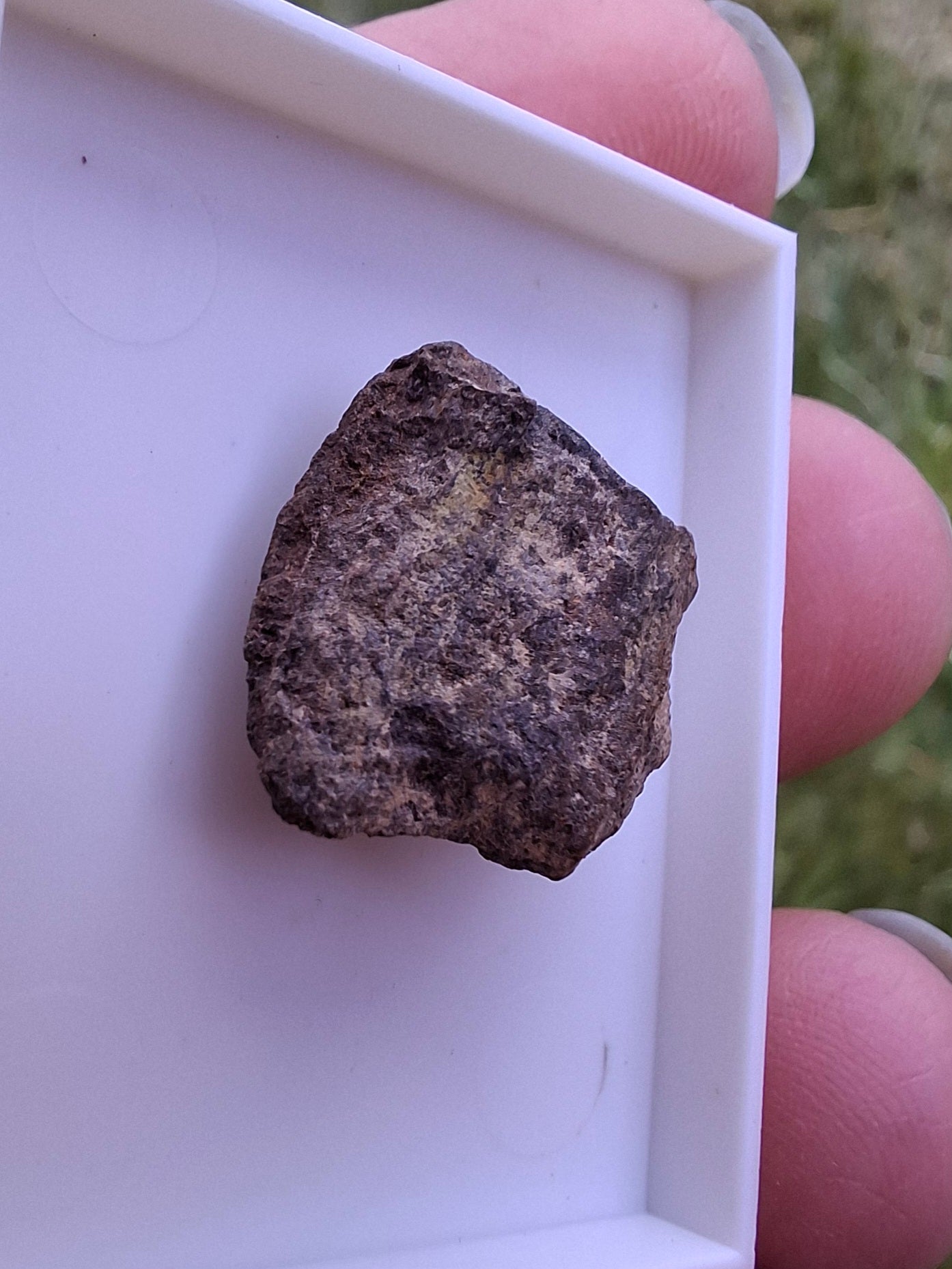 Chondrite, Meteorite (Ref: CM6)