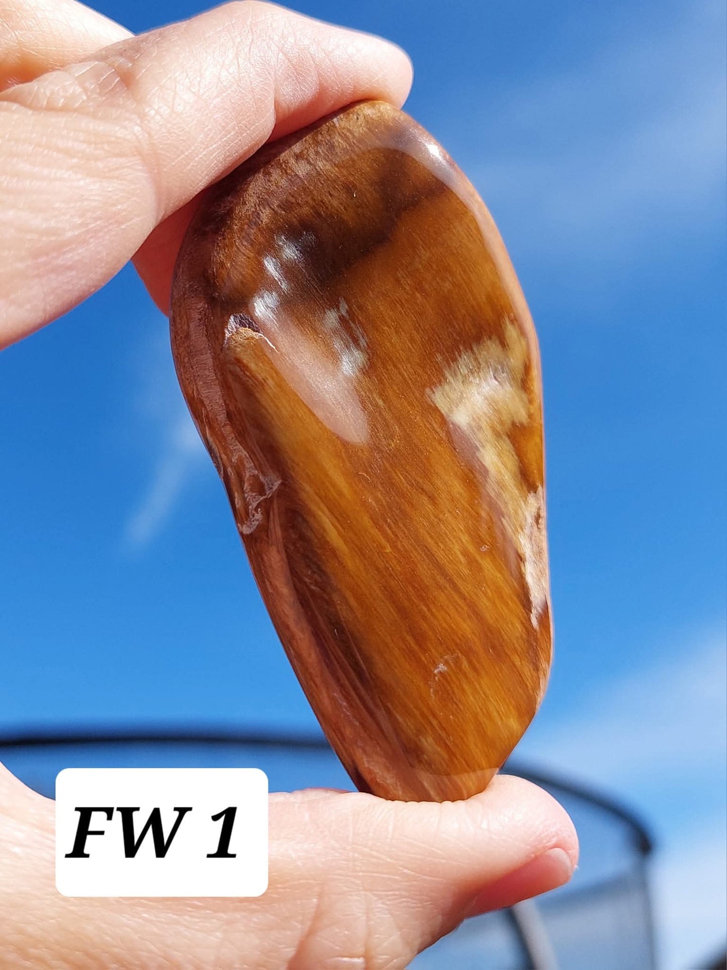 Fossilised Wood (polished), 74.86g, Fossil (Ref: FE1)