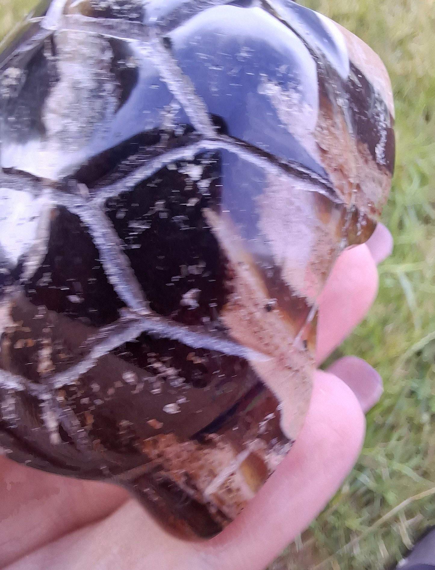 Red Amber Turtle, 50.00g, Carving, Fossil (Ref: TT6)