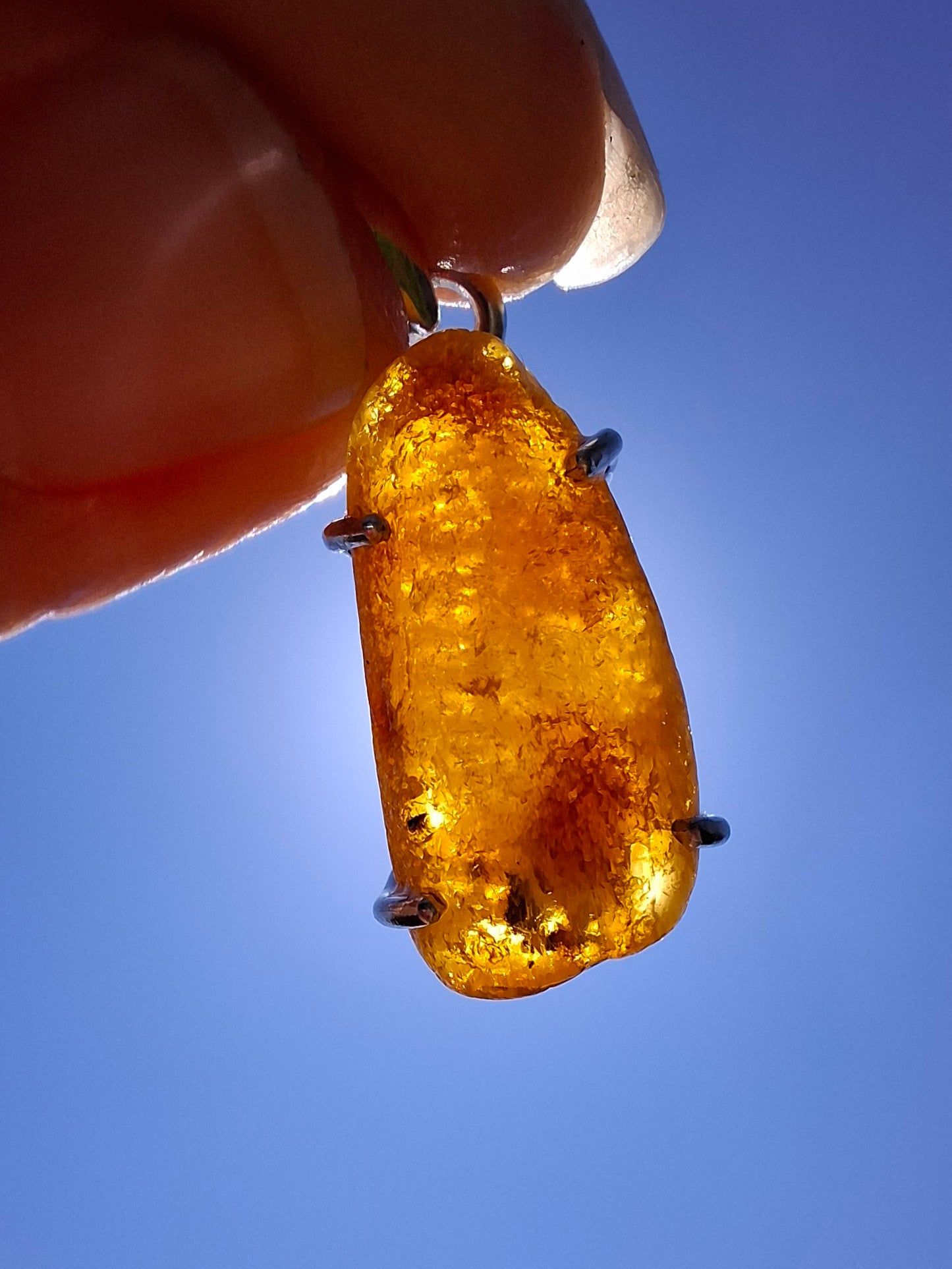 Baltic Amber Pendant, 925 Silver, Fossil (Ref: AP8)