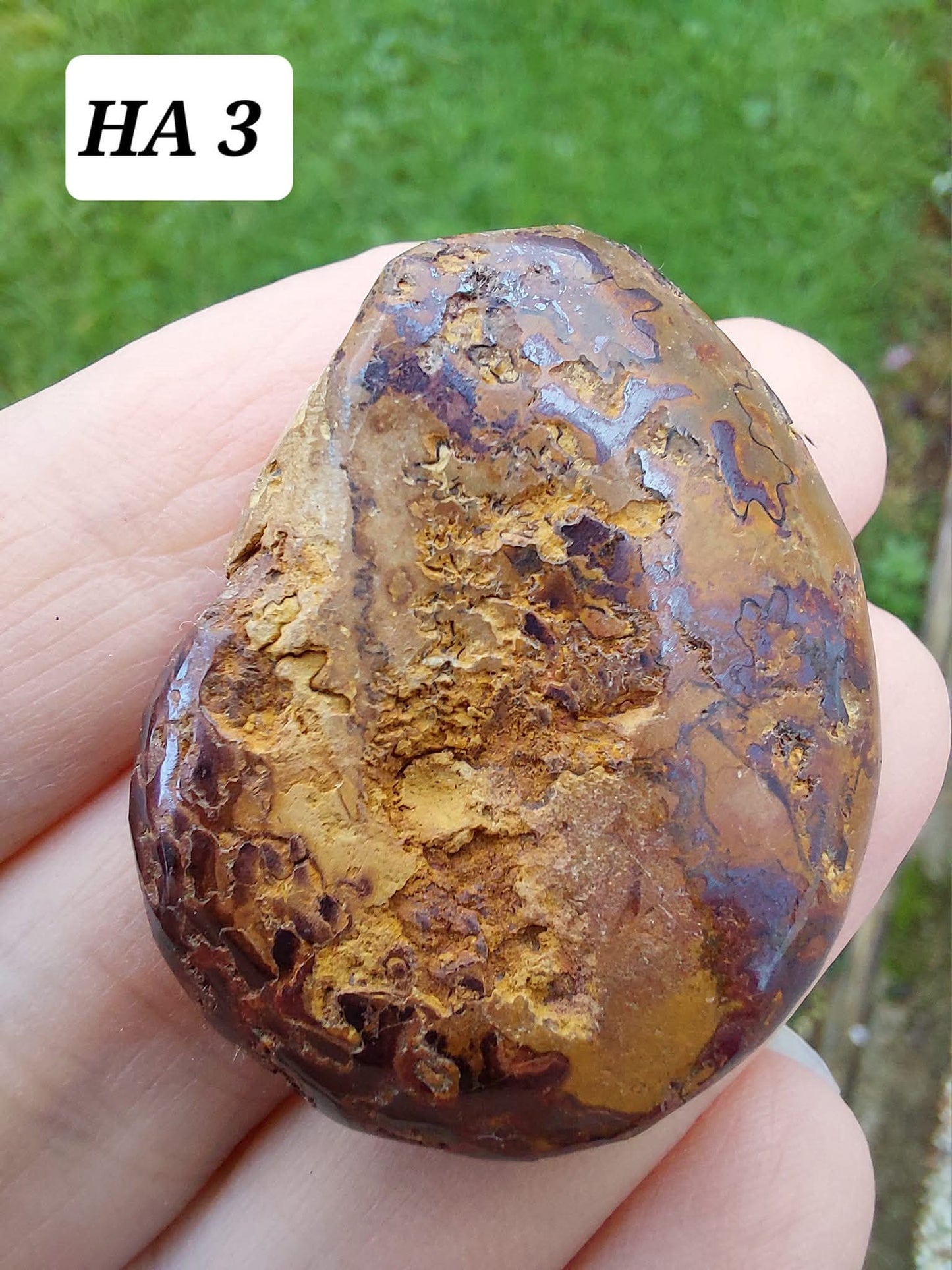 Hematite Ammonite, 16.00g, Fossil (Ref: HA3)