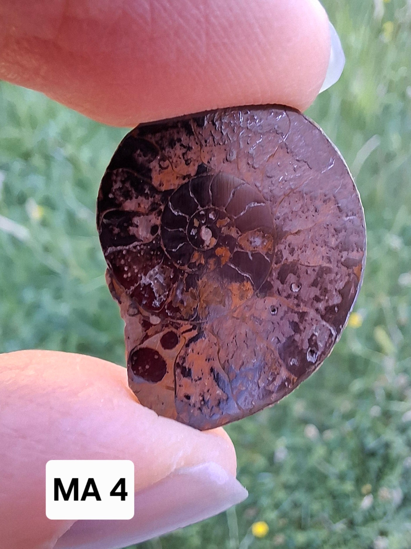 Small Haematite Ammonite HALF, 1.78g, Fossil (Ref: MA4)