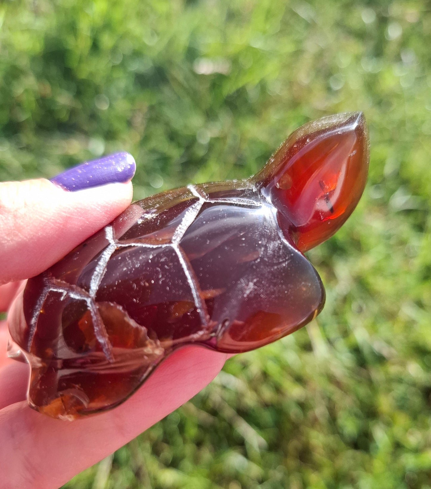 Red Amber Turtle, 49.15g, Carving, Fossil (Ref: TT1)