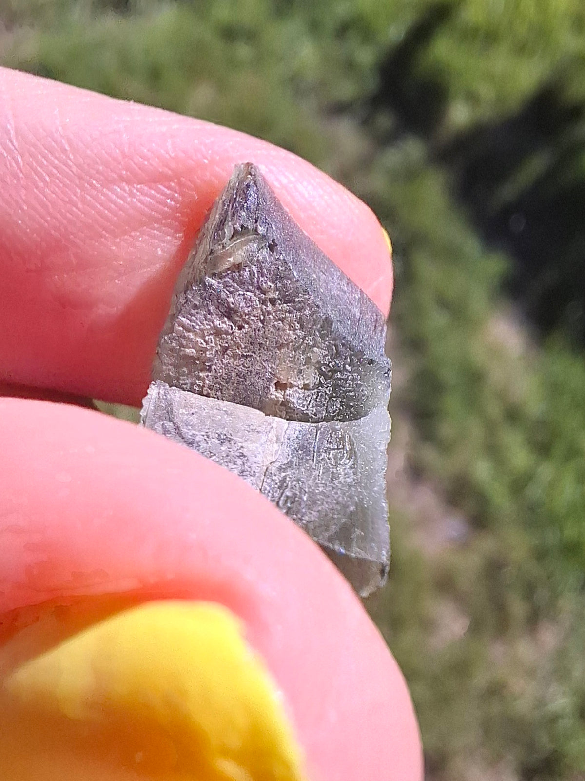 Moldavite Piece, 2.26g, Tektite (Ref: 1509)