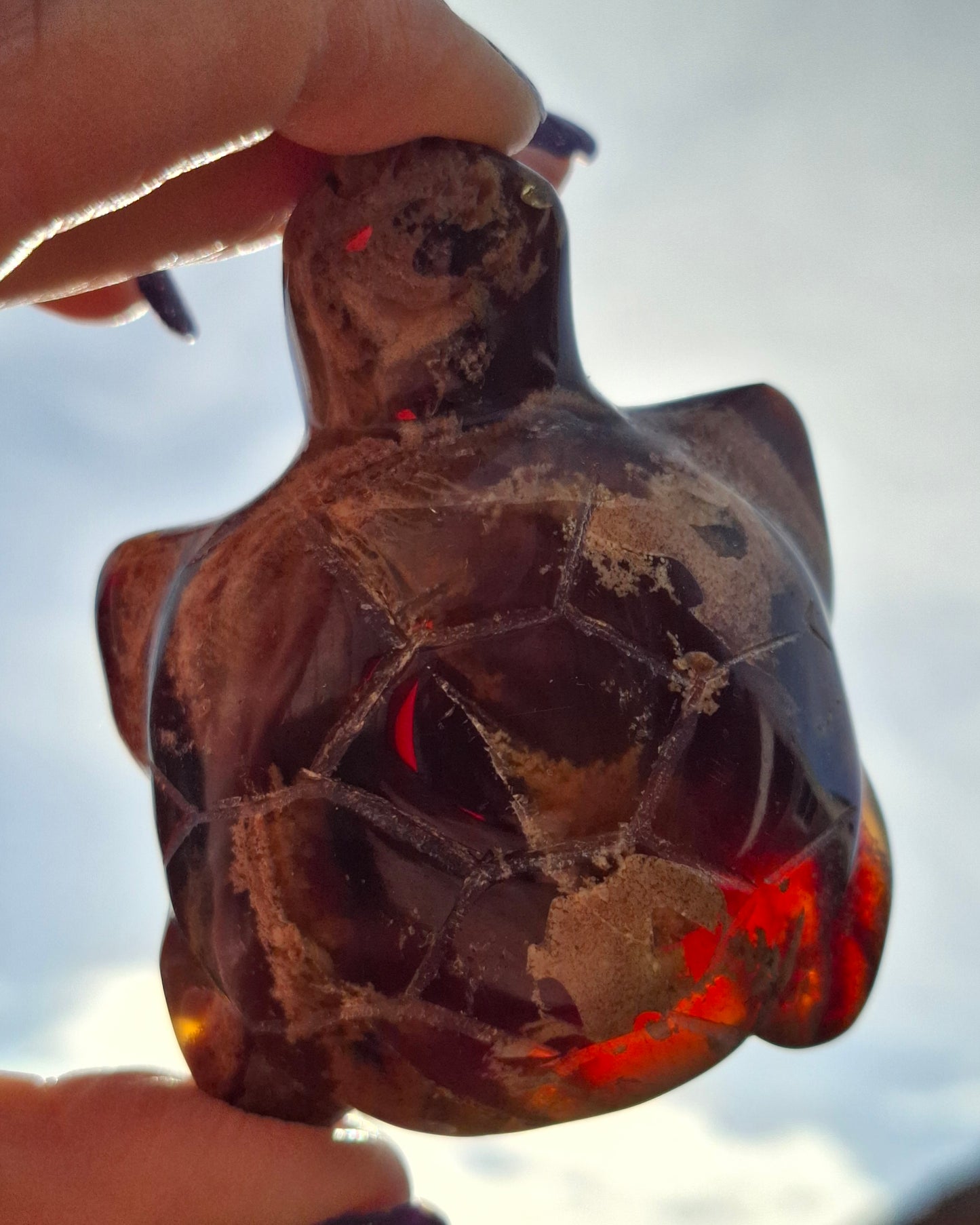 Red Amber Turtle, 56.87g, Carving, Fossil (Ref:TT7)