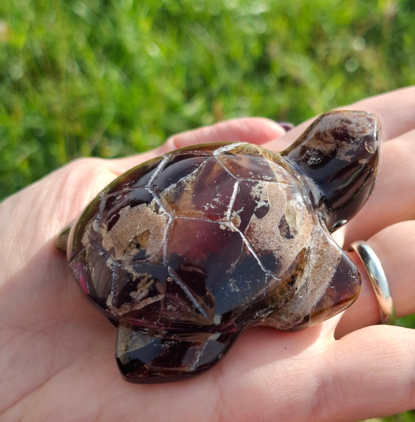 Red Amber Turtle, 56.87g, Carving, Fossil (Ref:TT7)