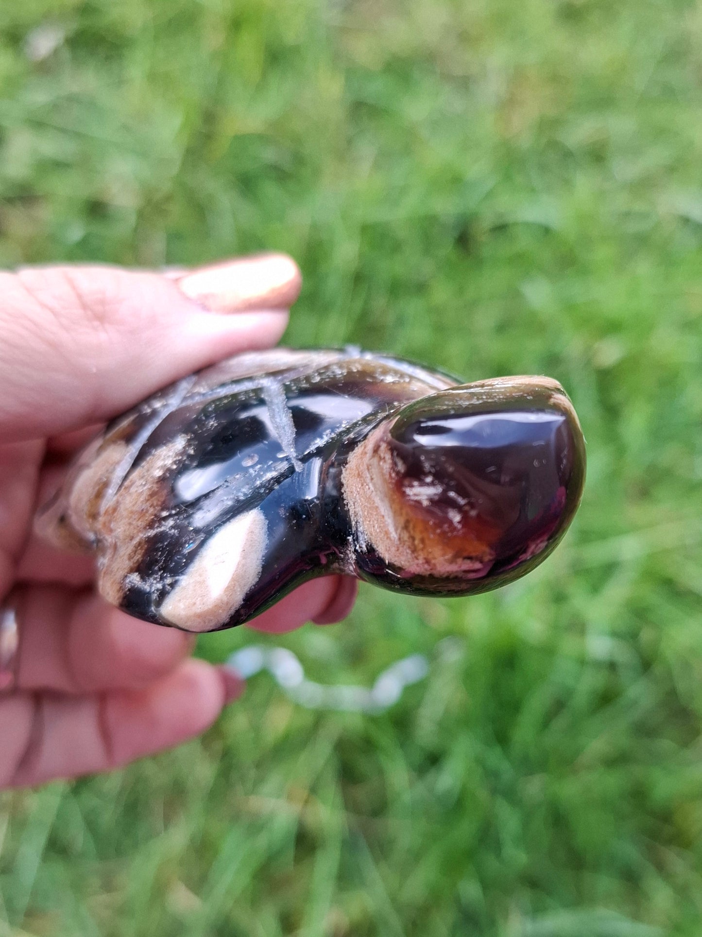 Red Amber Turtle, 50.00g, Carving, Fossil (Ref: TT6)