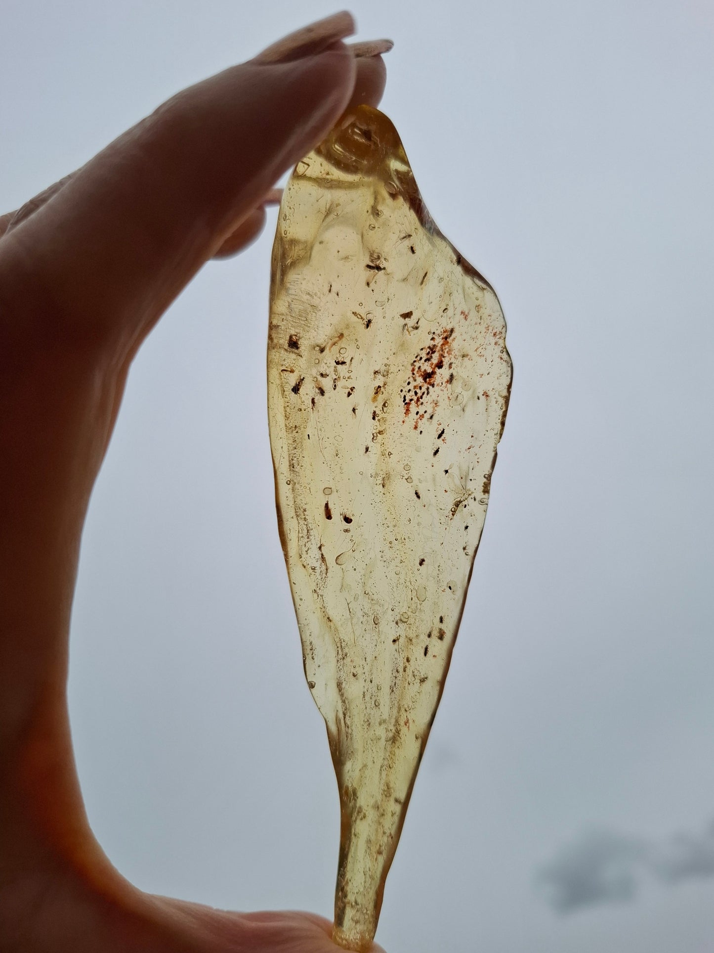 Copal Young Amber with INSECTS inside, 28.43g, Fossil (Ref: CA10)