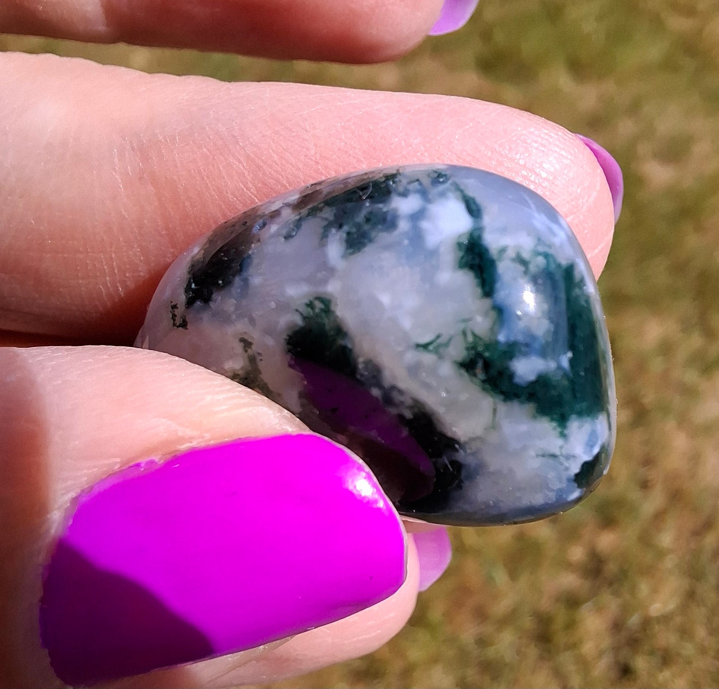Tree Agate, Tumble Stone, Crystal (Ref: T2)