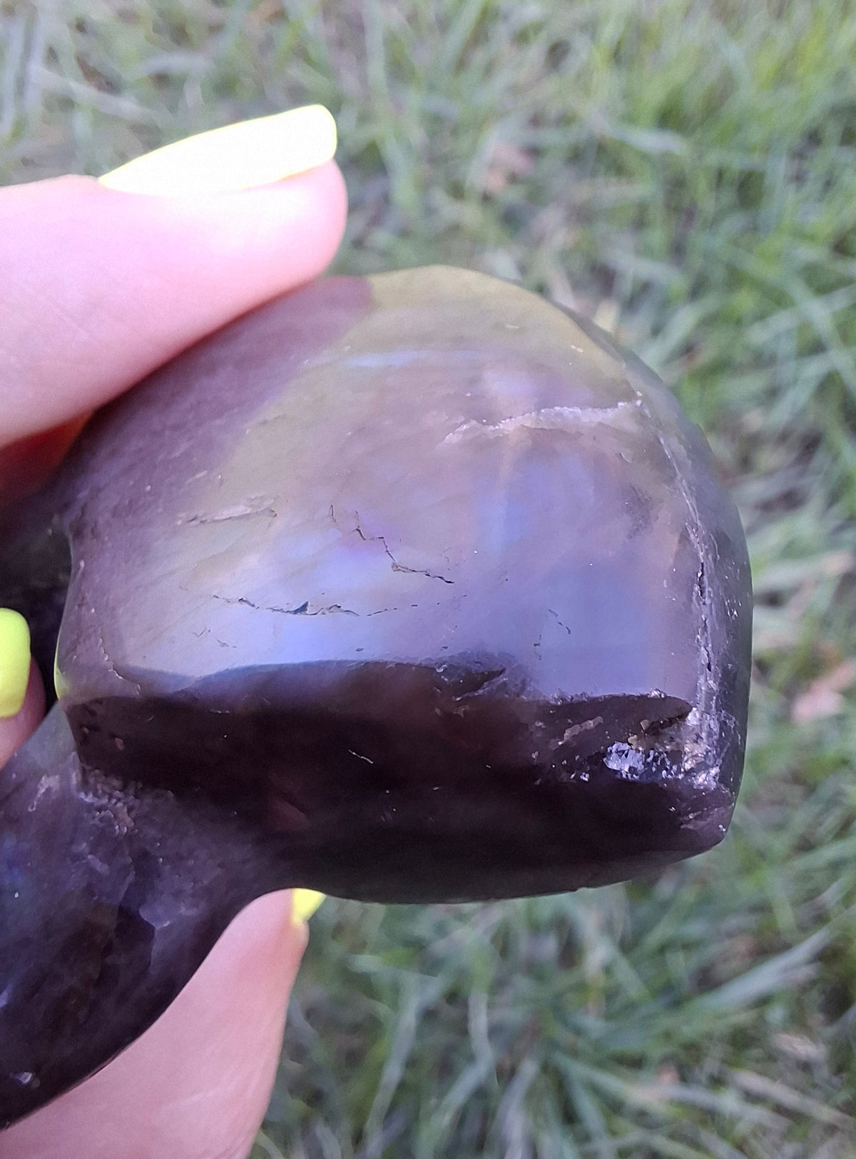 Labradorite Ammonite carving, 96.88g, Crystal (Ref: laba1)