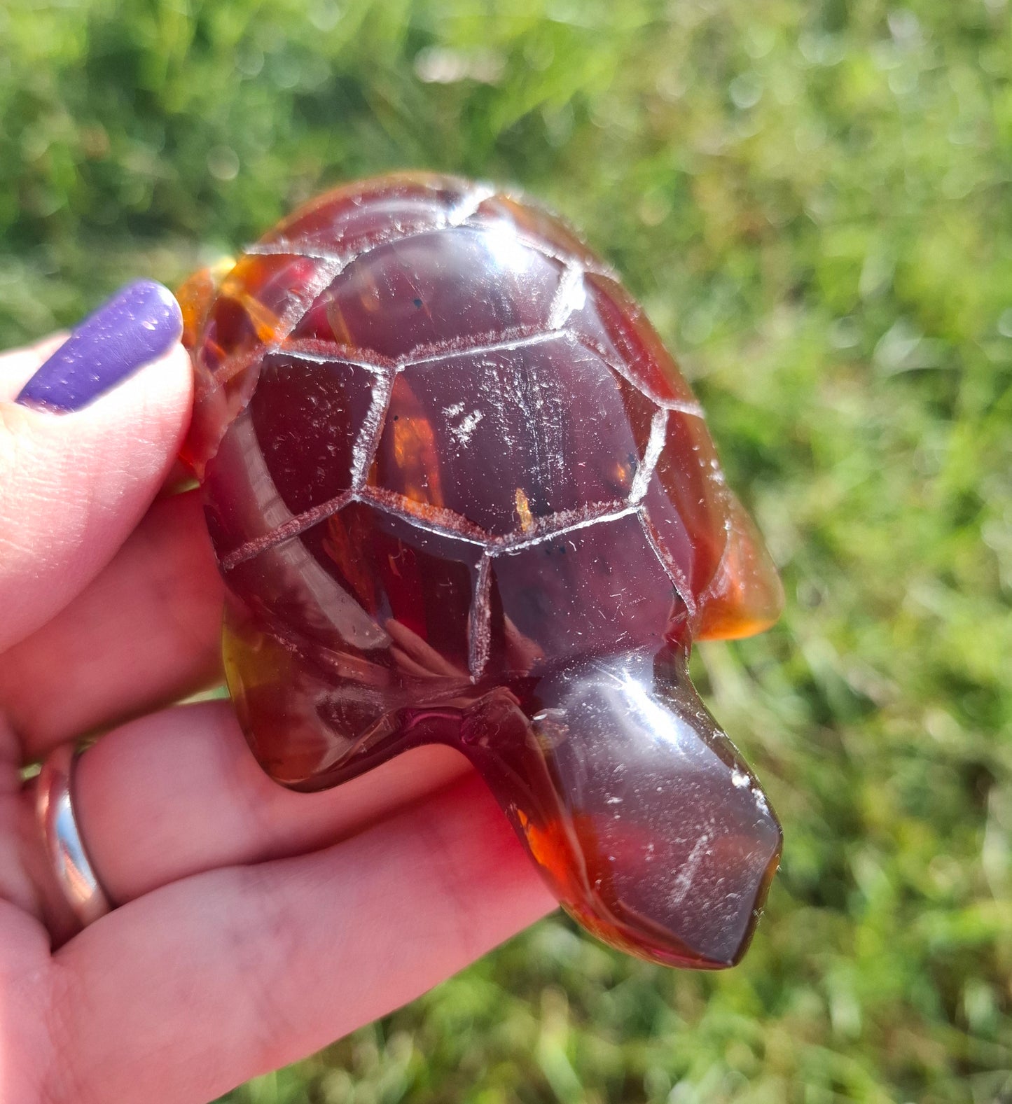 Red Amber Turtle, 49.15g, Carving, Fossil (Ref: TT1)