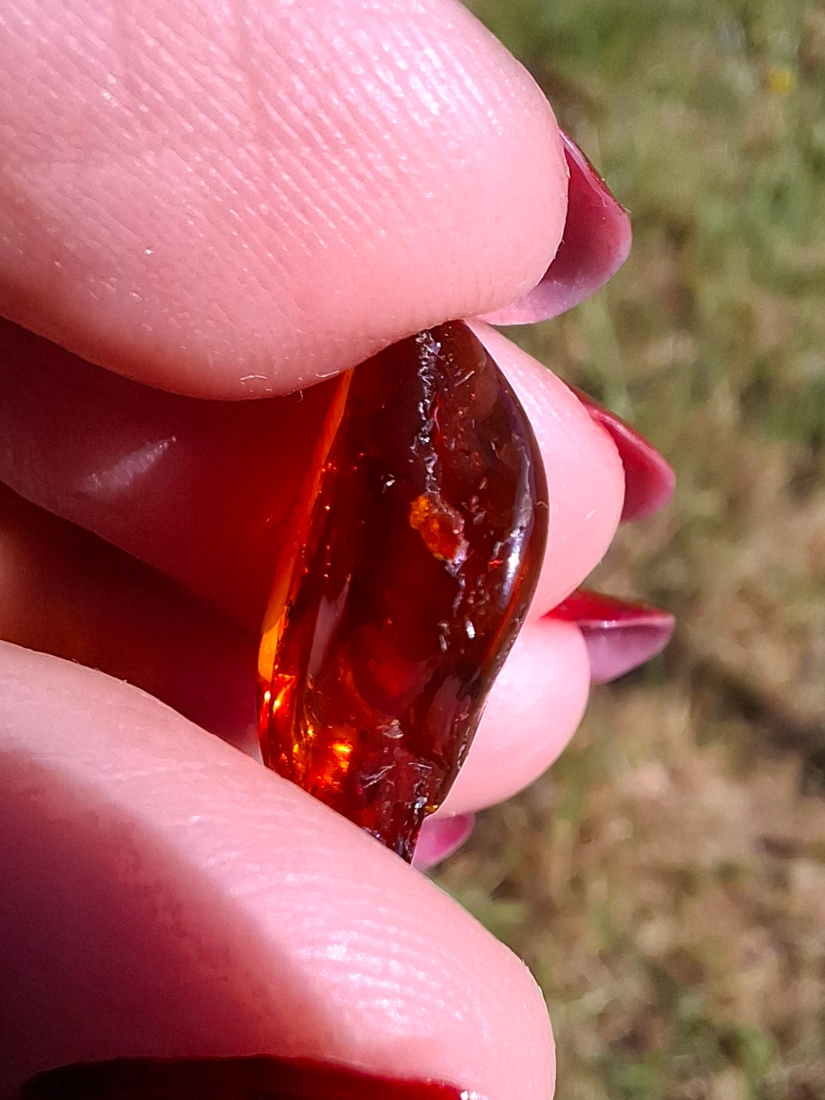 Baltic Amber, 0.94g, Fossil (Ref: A256)