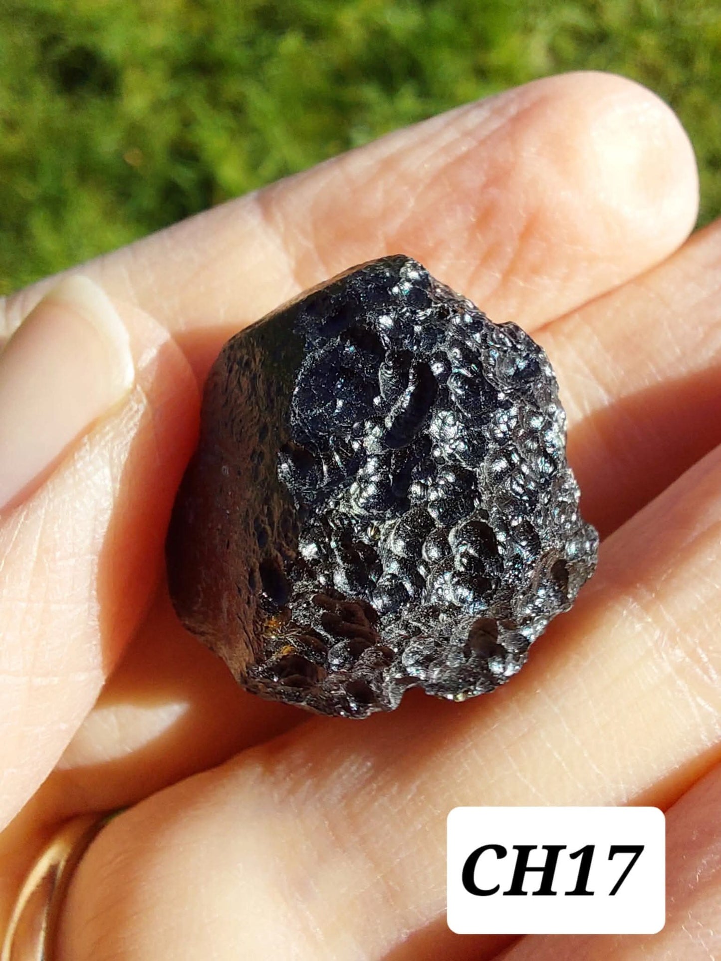 Guang Dong (Chinese), 12.96g, Tektite