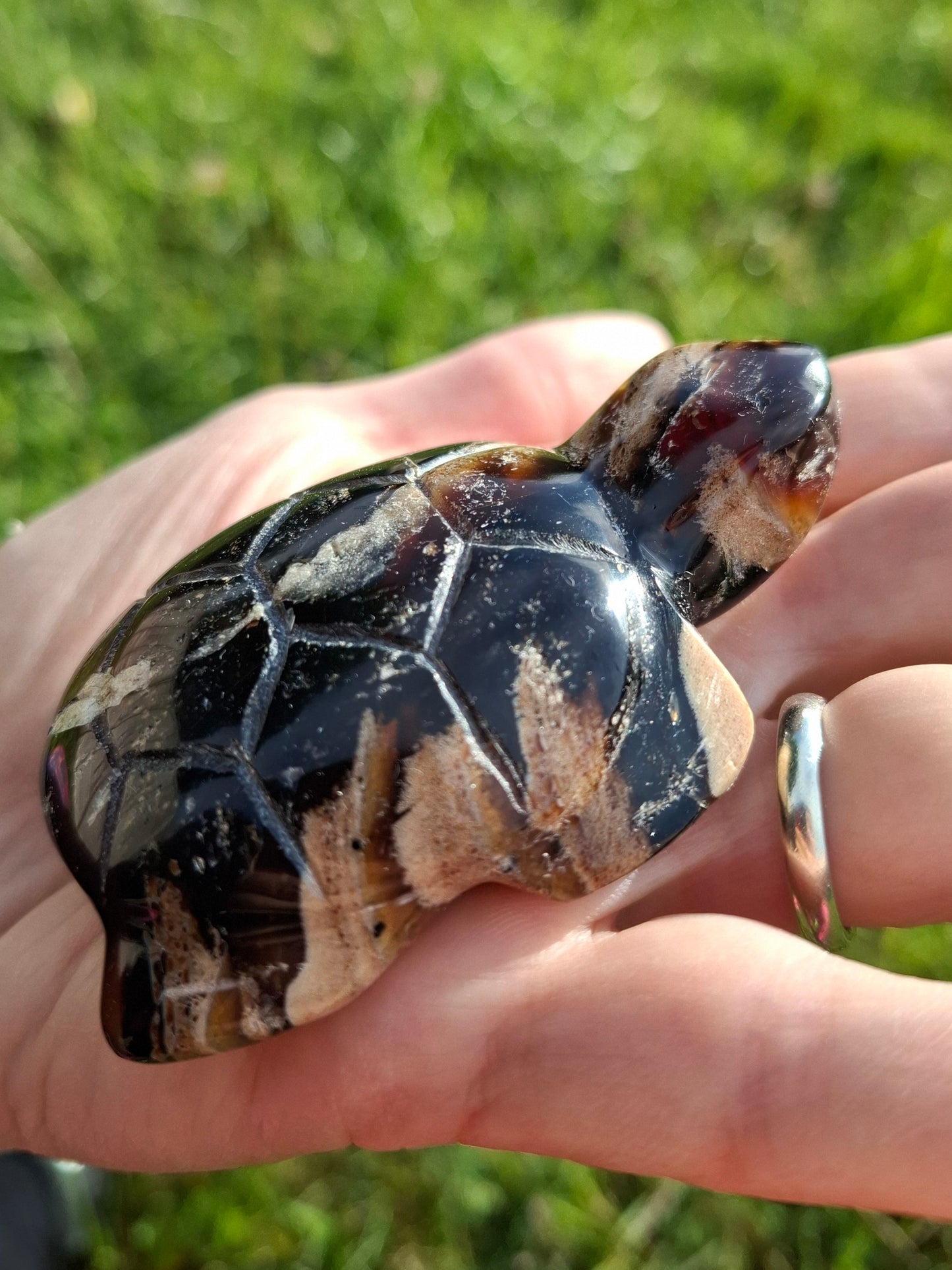 Red Amber Turtle, 50.00g, Carving, Fossil (Ref: TT6)