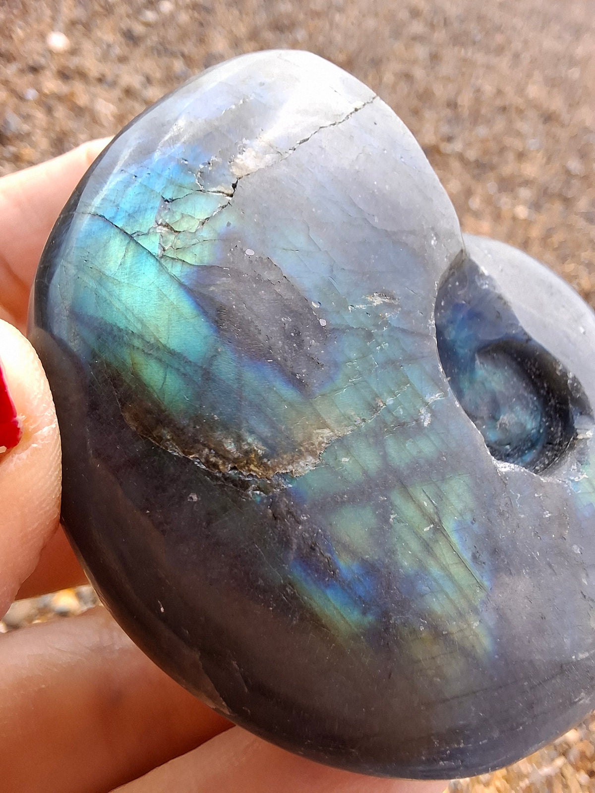 Labradorite Ammonite Carving, 111.66g, Crystal (Ref: laba3)