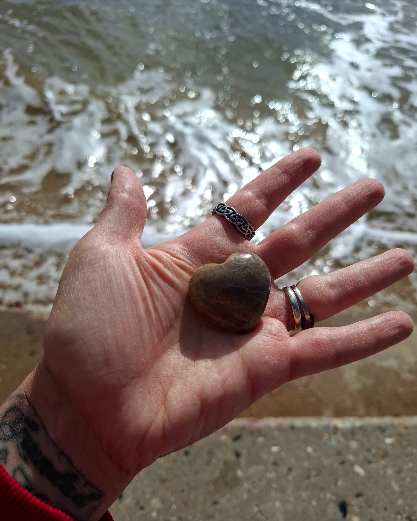 Fossil Coral Heart (Ref: CoH3)