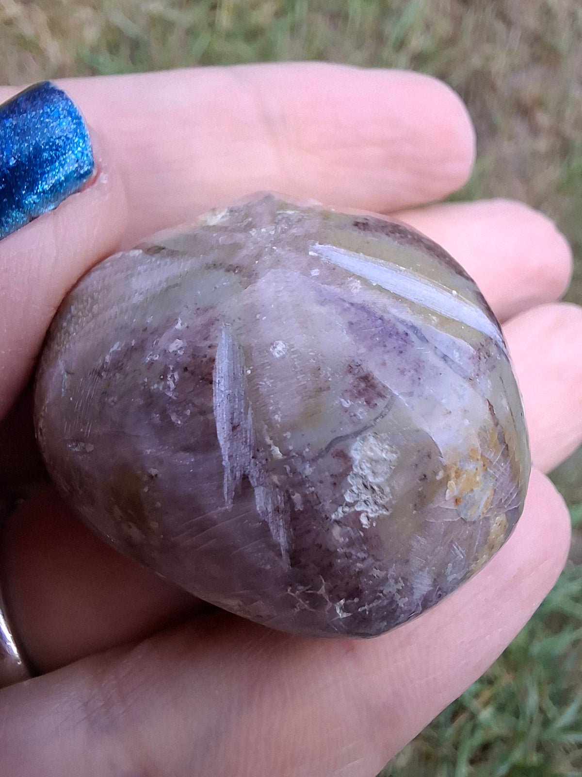 Polished Sea Urchin, Fossil (Ref: SU6)