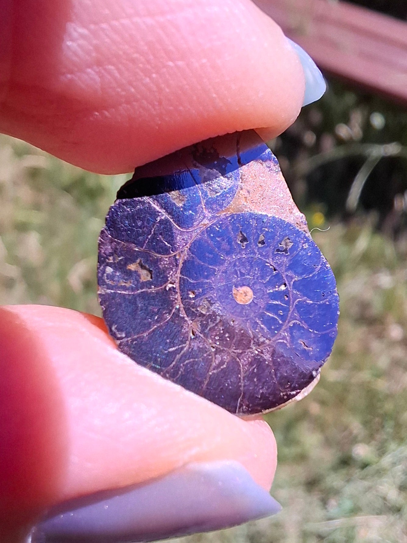 Small Haematite Ammonite HALF, 1.36g, Fossil (Ref: MA12)