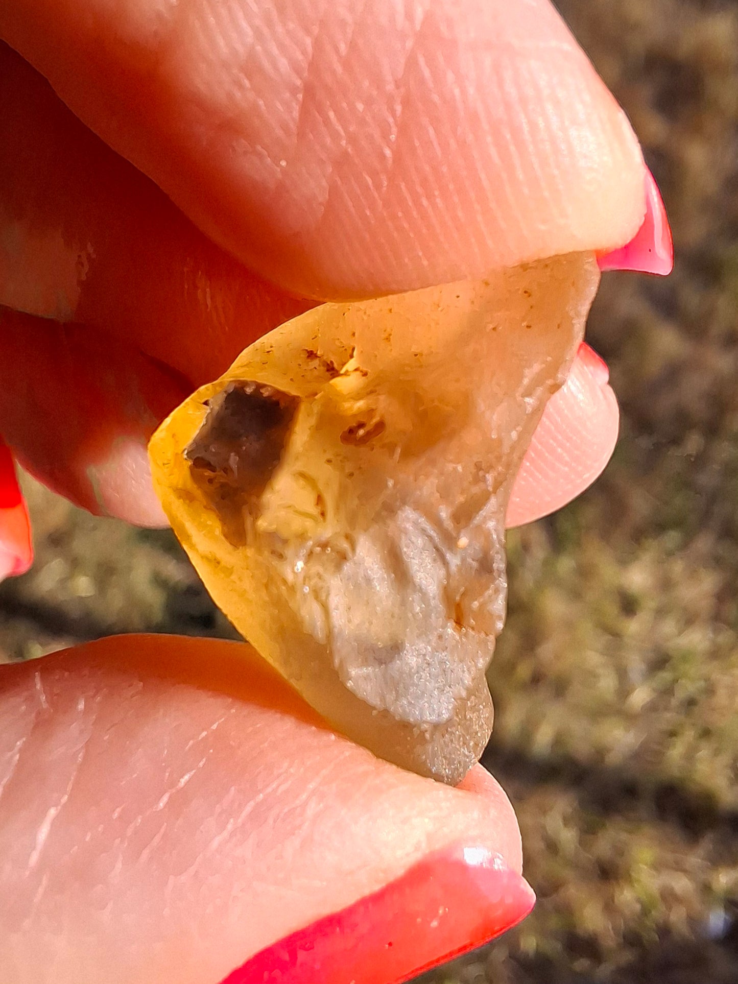 Libyan Desert Glass (darker) Piece, 3.72g, Tektite (Ref: L1378)