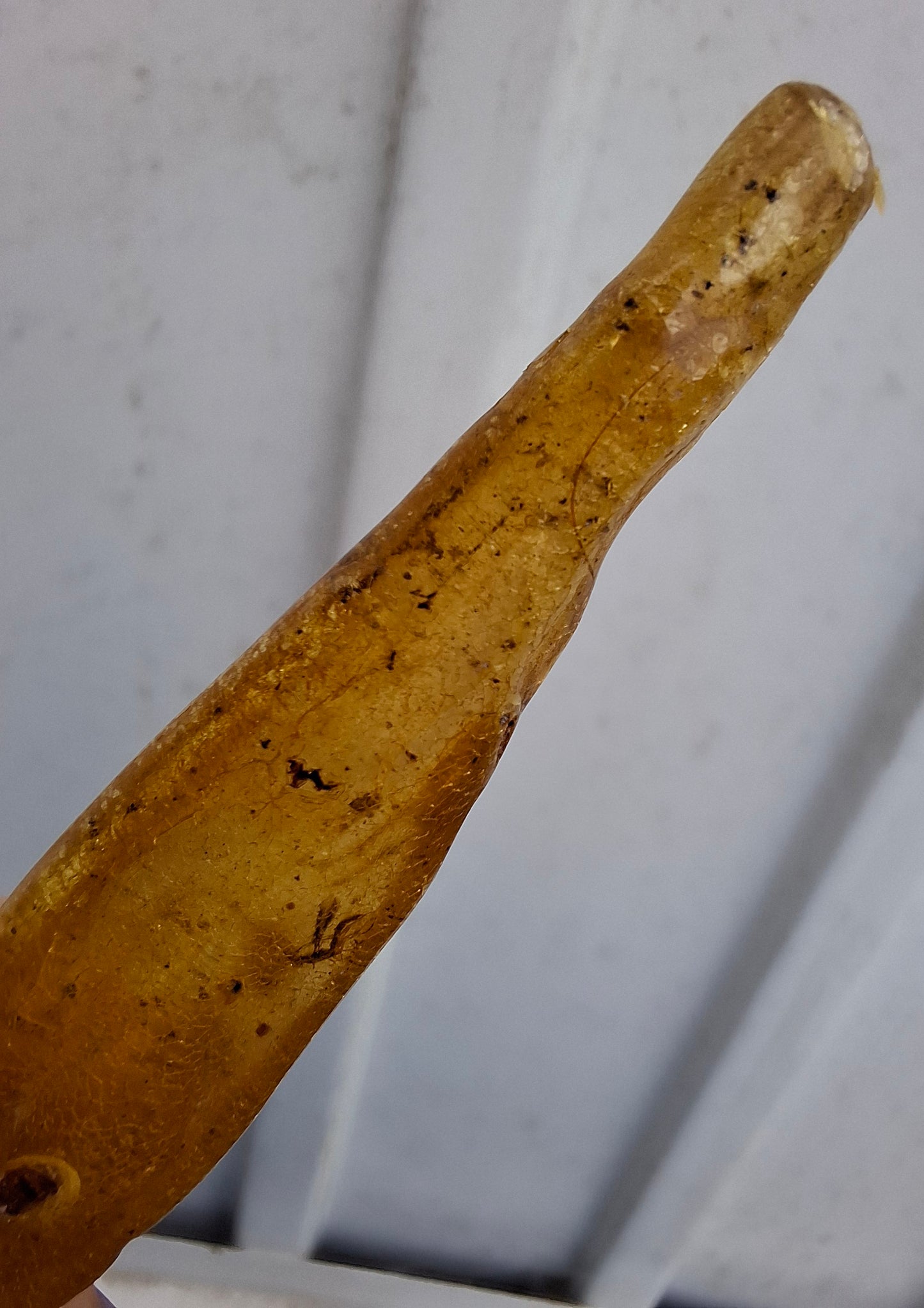 Copal Young Amber with INSECTS inside, 5.07g, Fossil (Ref: CA35)