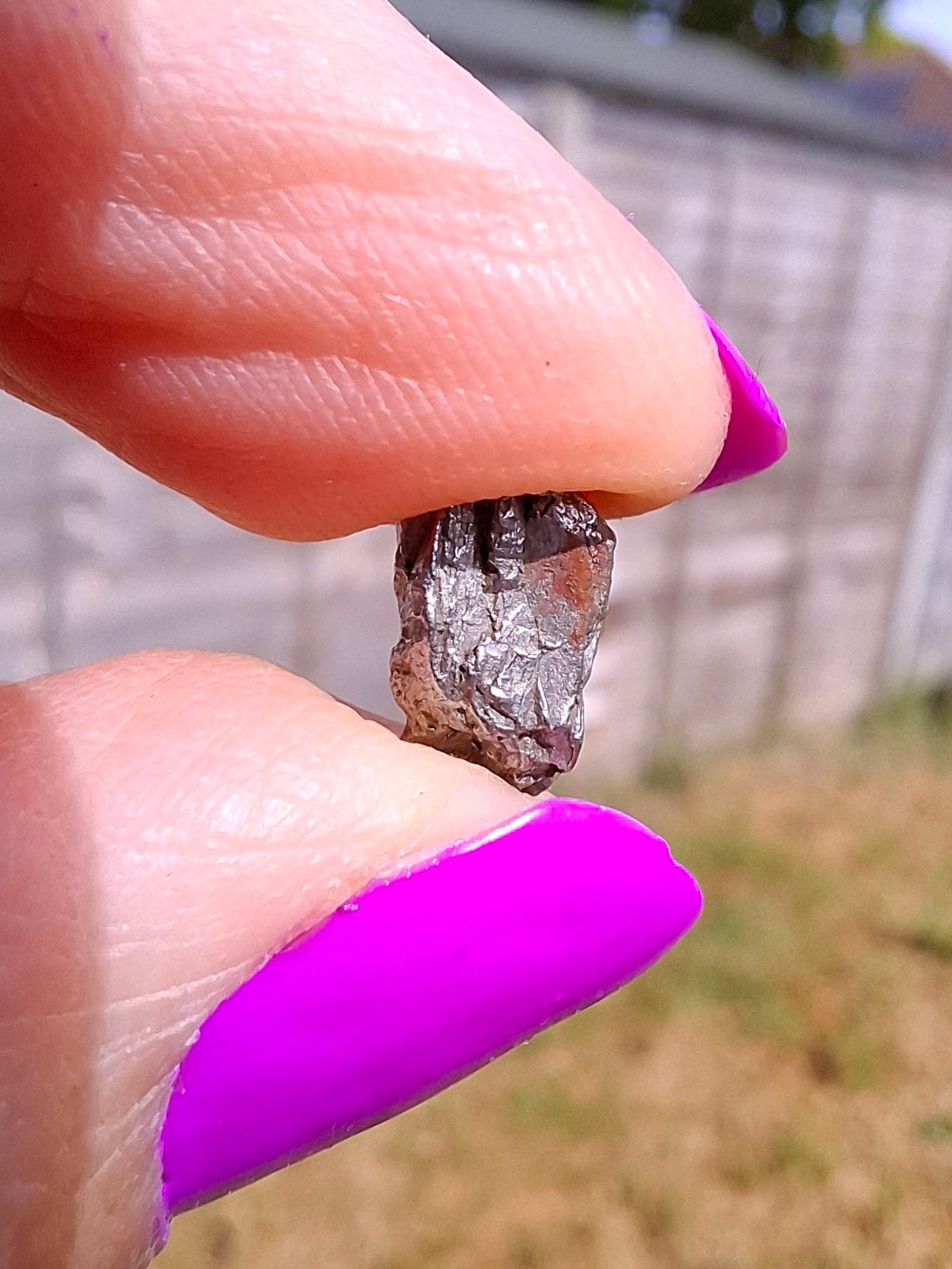 Campo del Cielo, 1.05g, Nickel Iron Meteorite (Ref: C11)