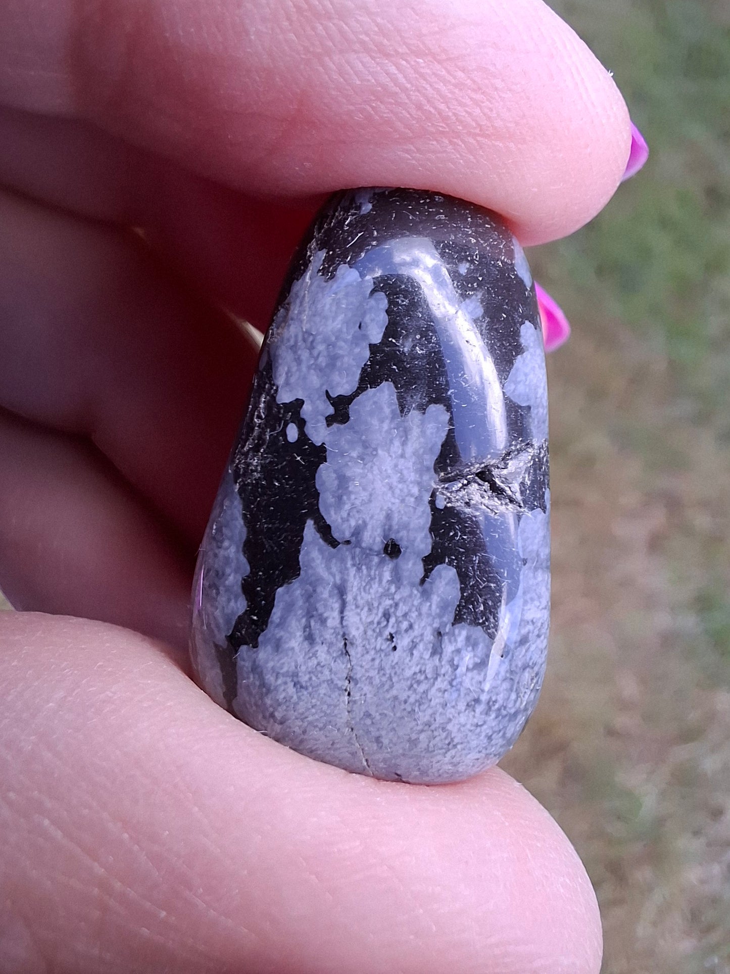 Snowflake Obsidian, Tumble Stone, Crystal (Ref: T97)