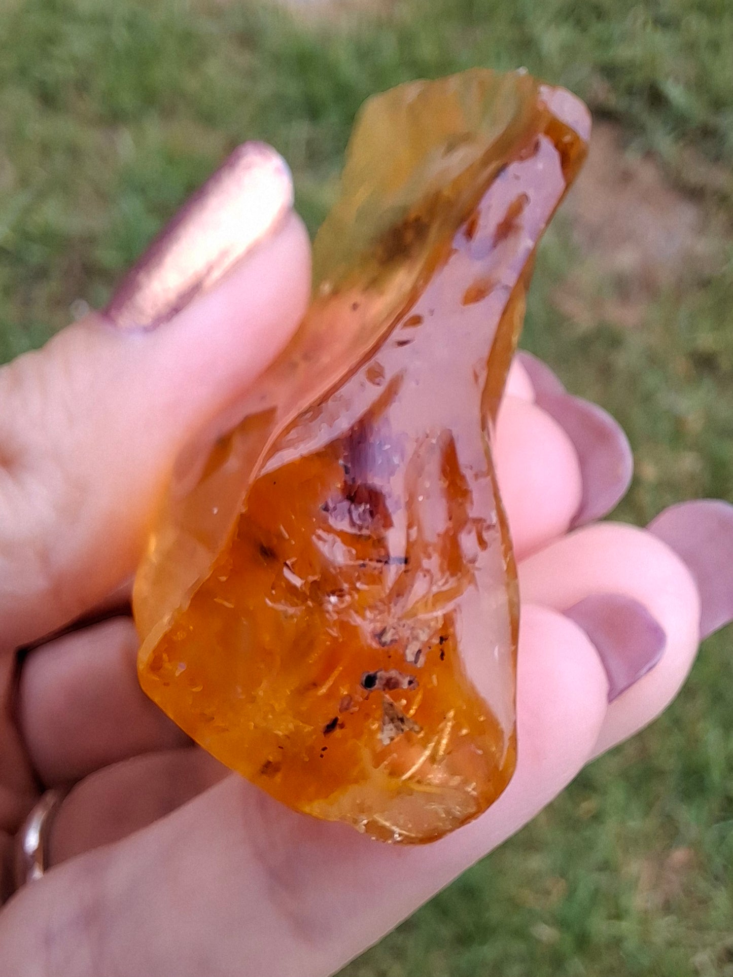 Copal Young Amber with INSECTS inside, 28.43g, Fossil (Ref: CA10)